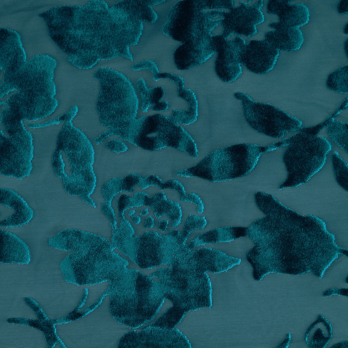 #color_TEAL