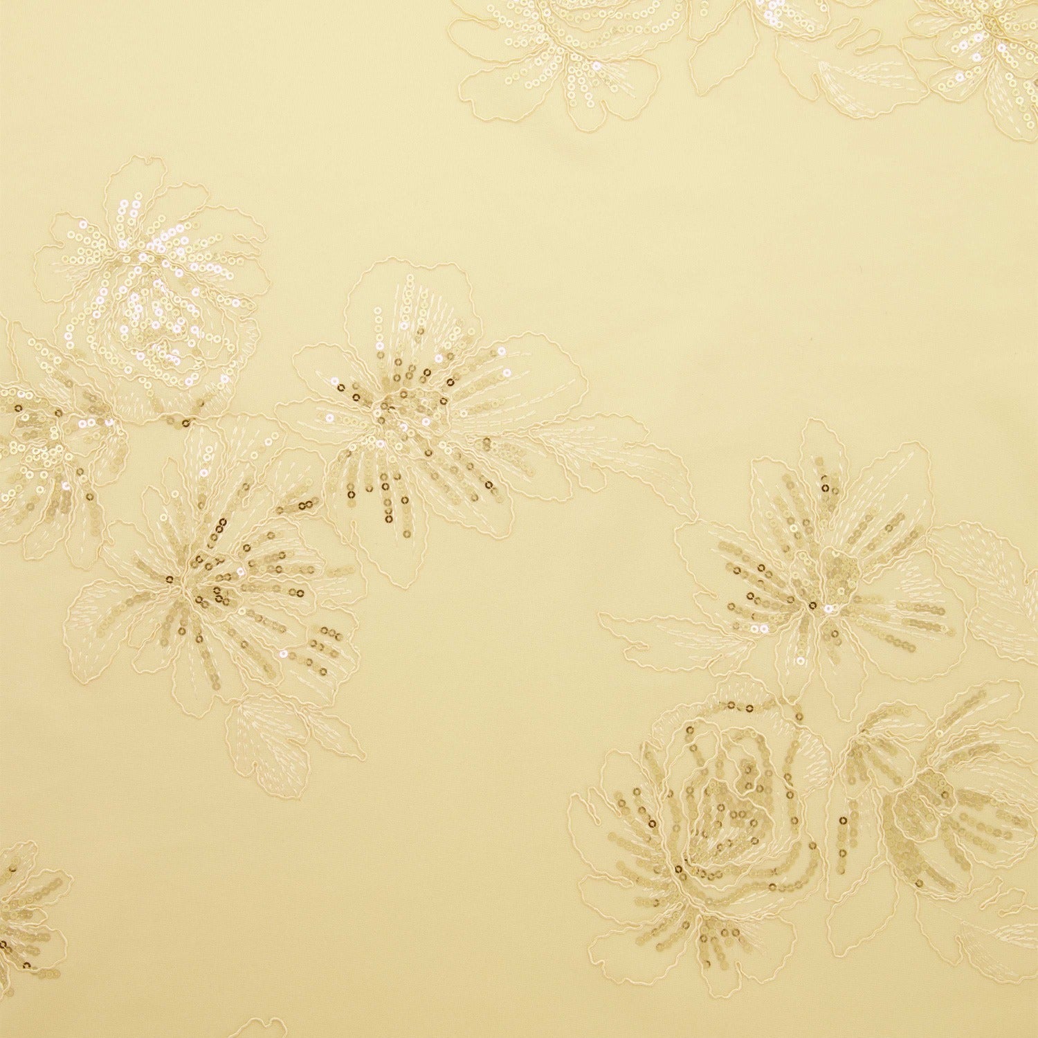 #color_SHELL/CHAMPAGNE