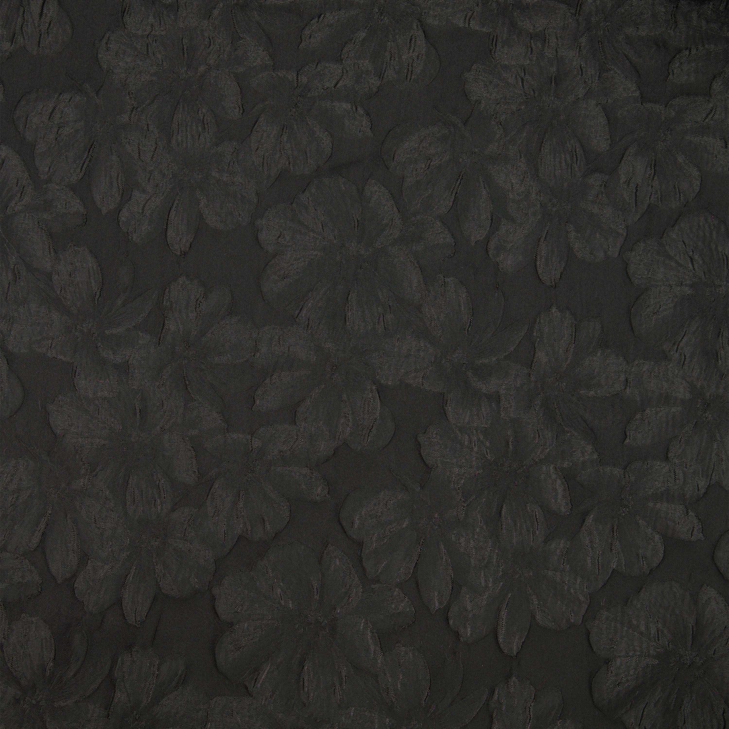 #color_BLACK/BLACK