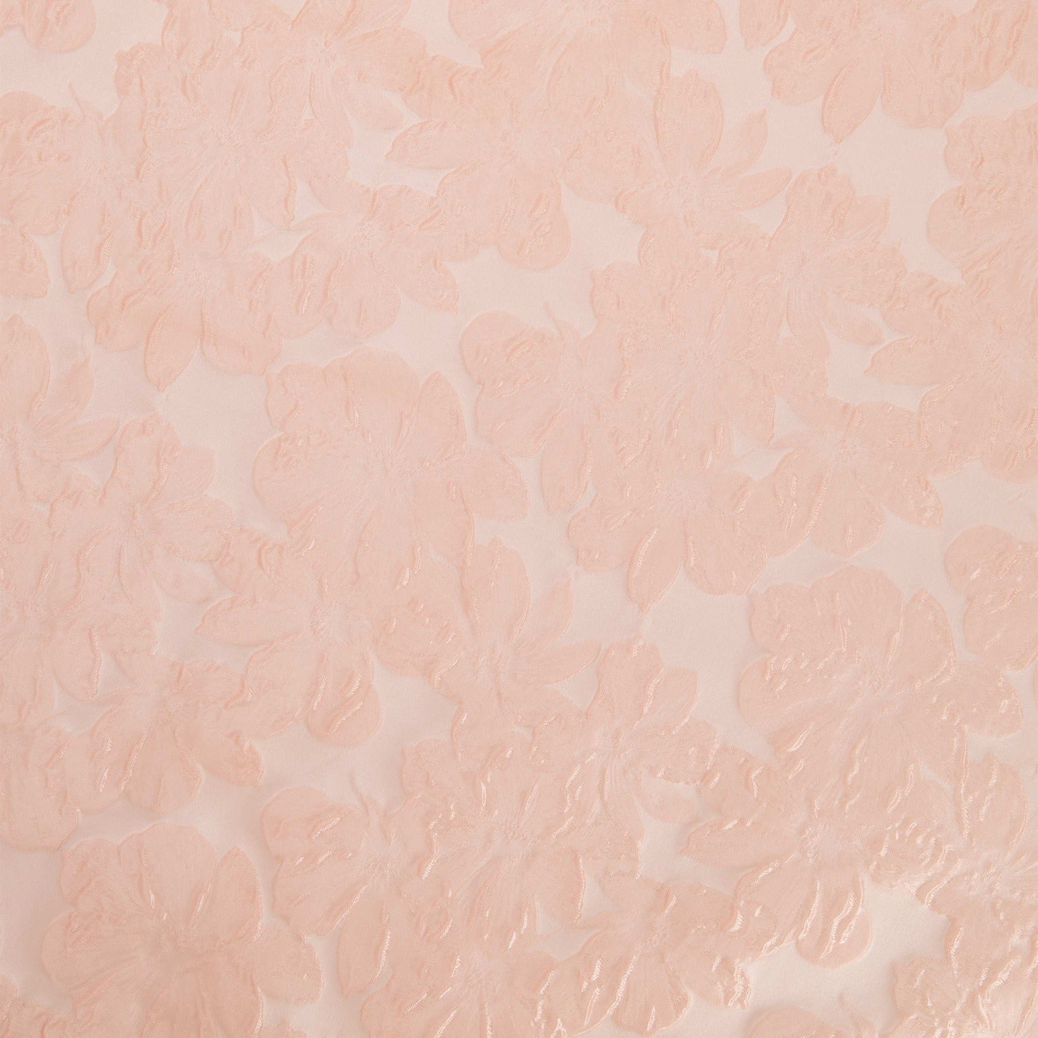 #color_BLUSH/BLUSH