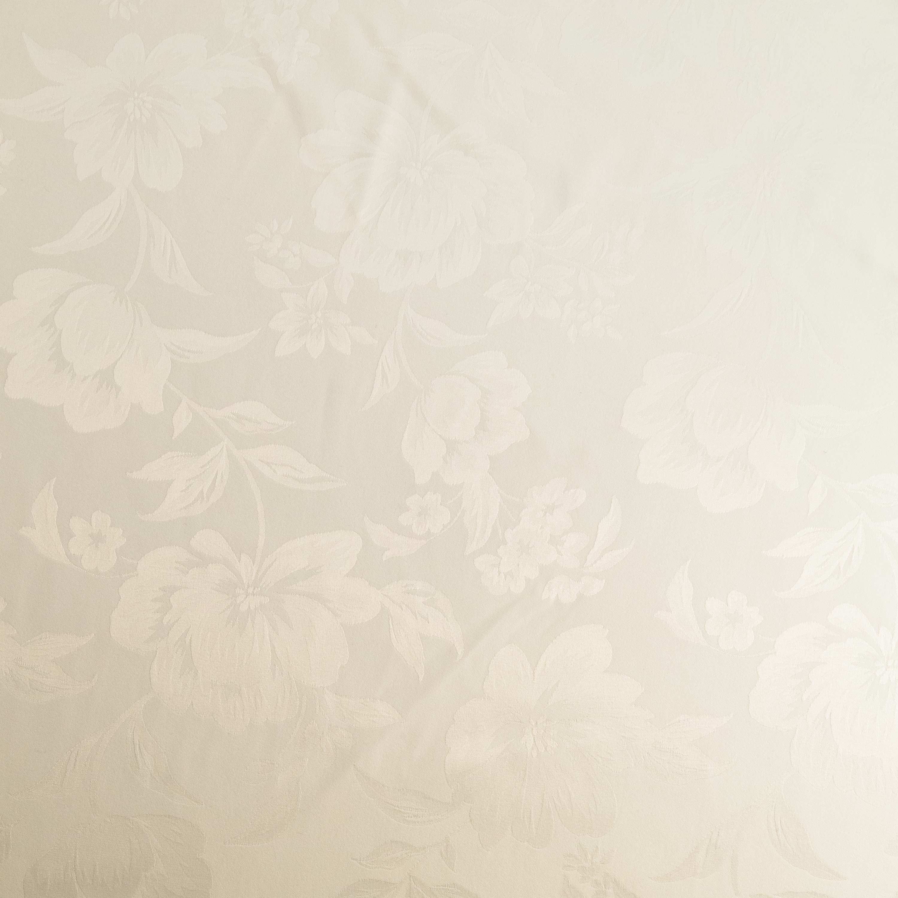 #color_IVORY
