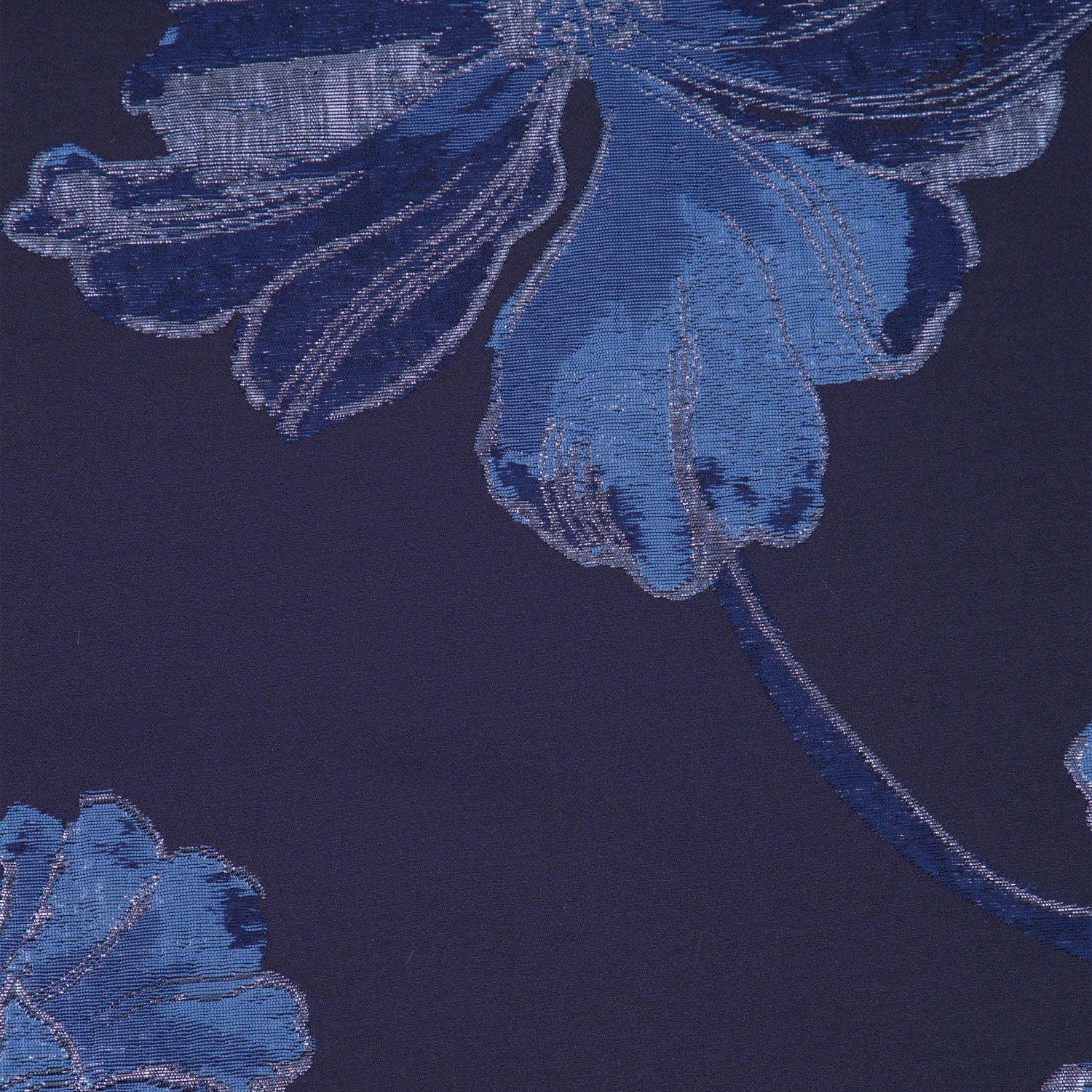 #color_NAVY/BLUE