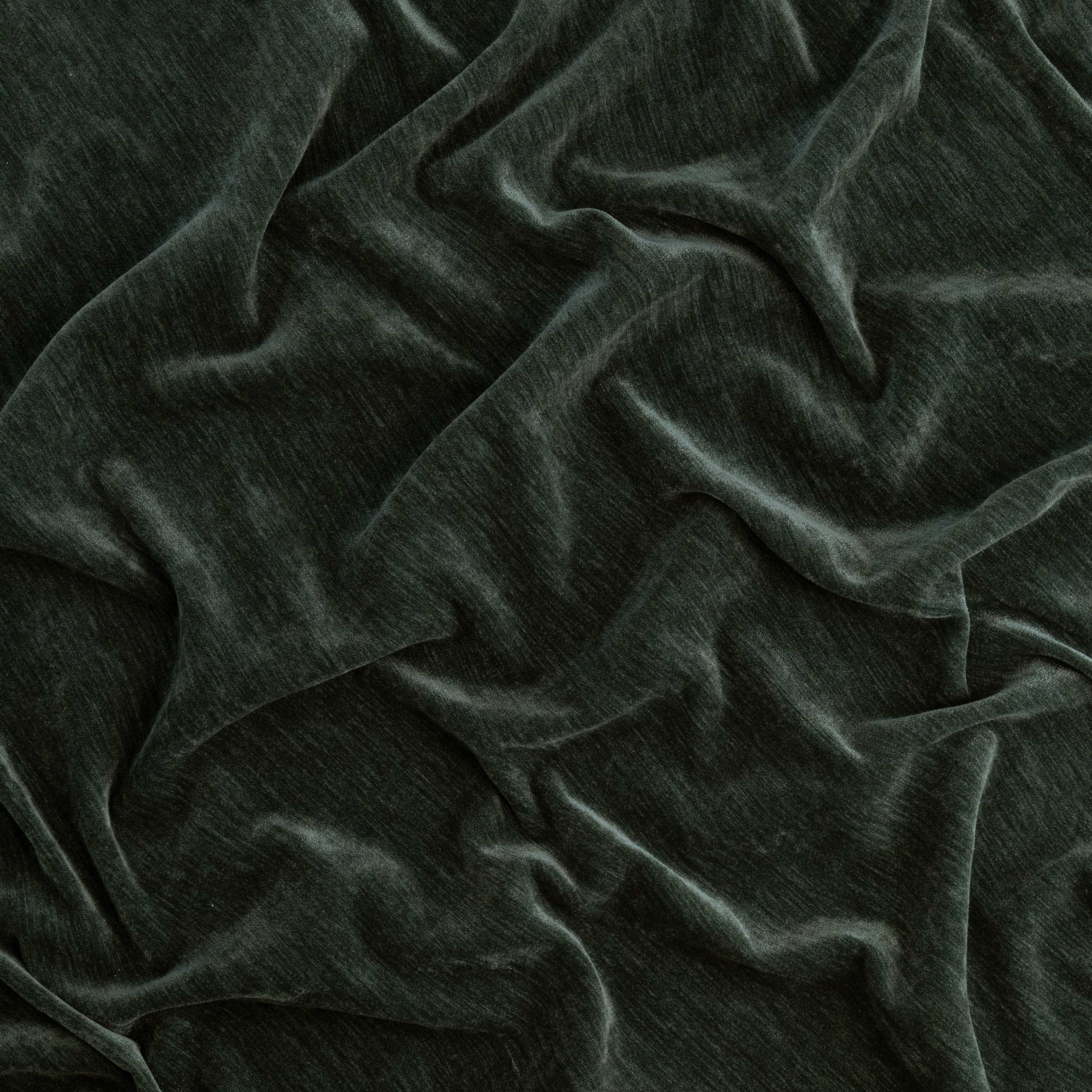 #color_PINE