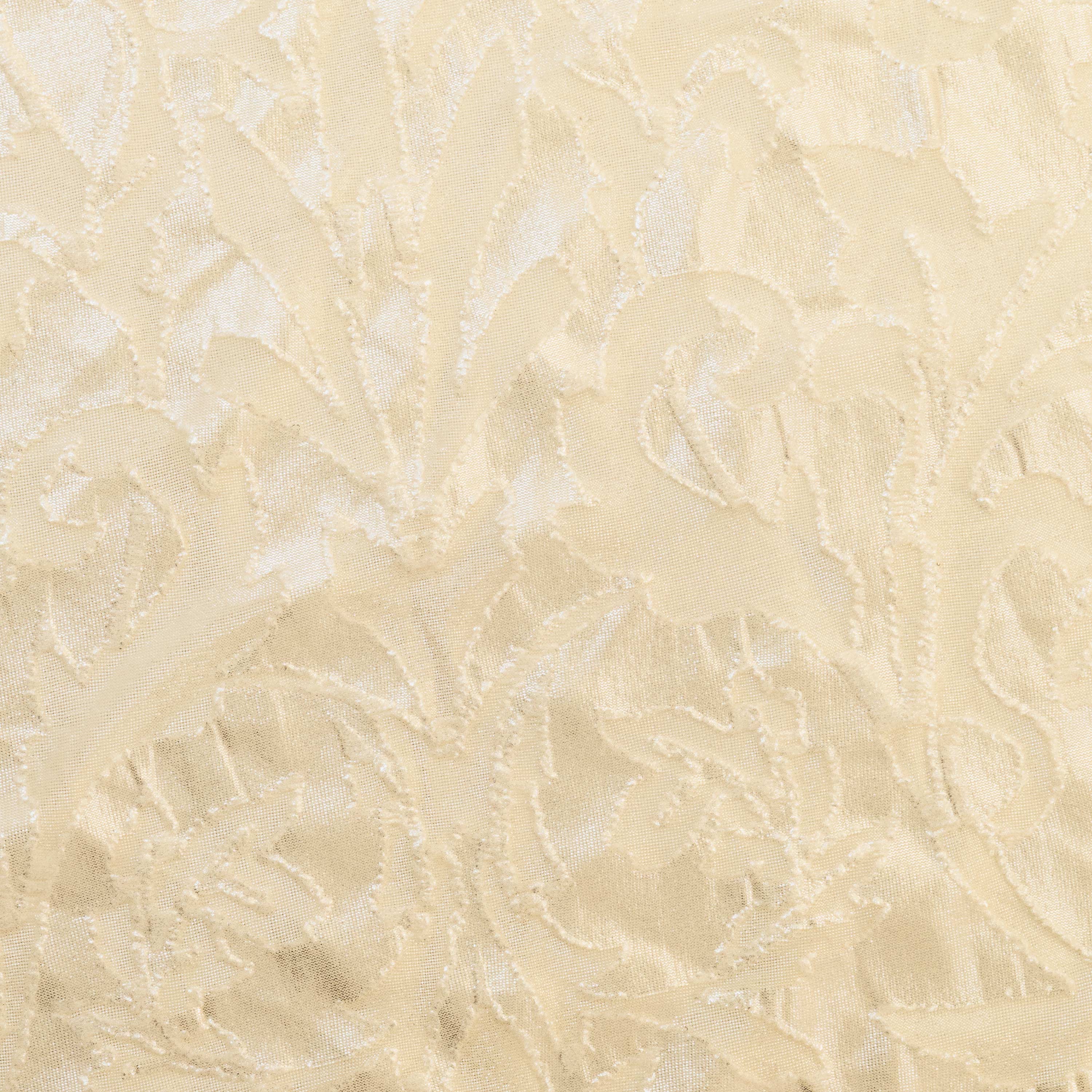 #color_CHAMPAGNE/SILVER