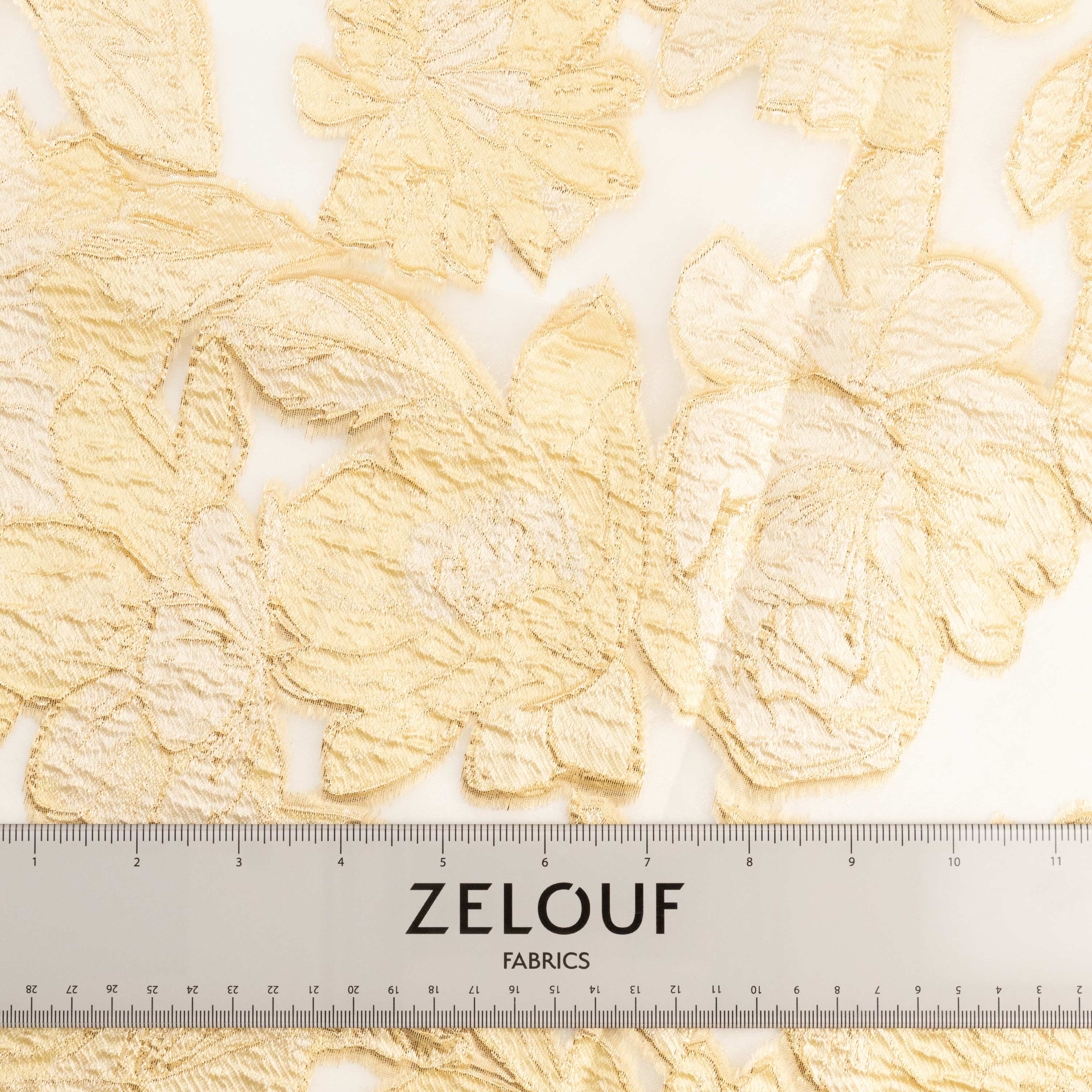 #color_WHITE/CHAMPAGNE