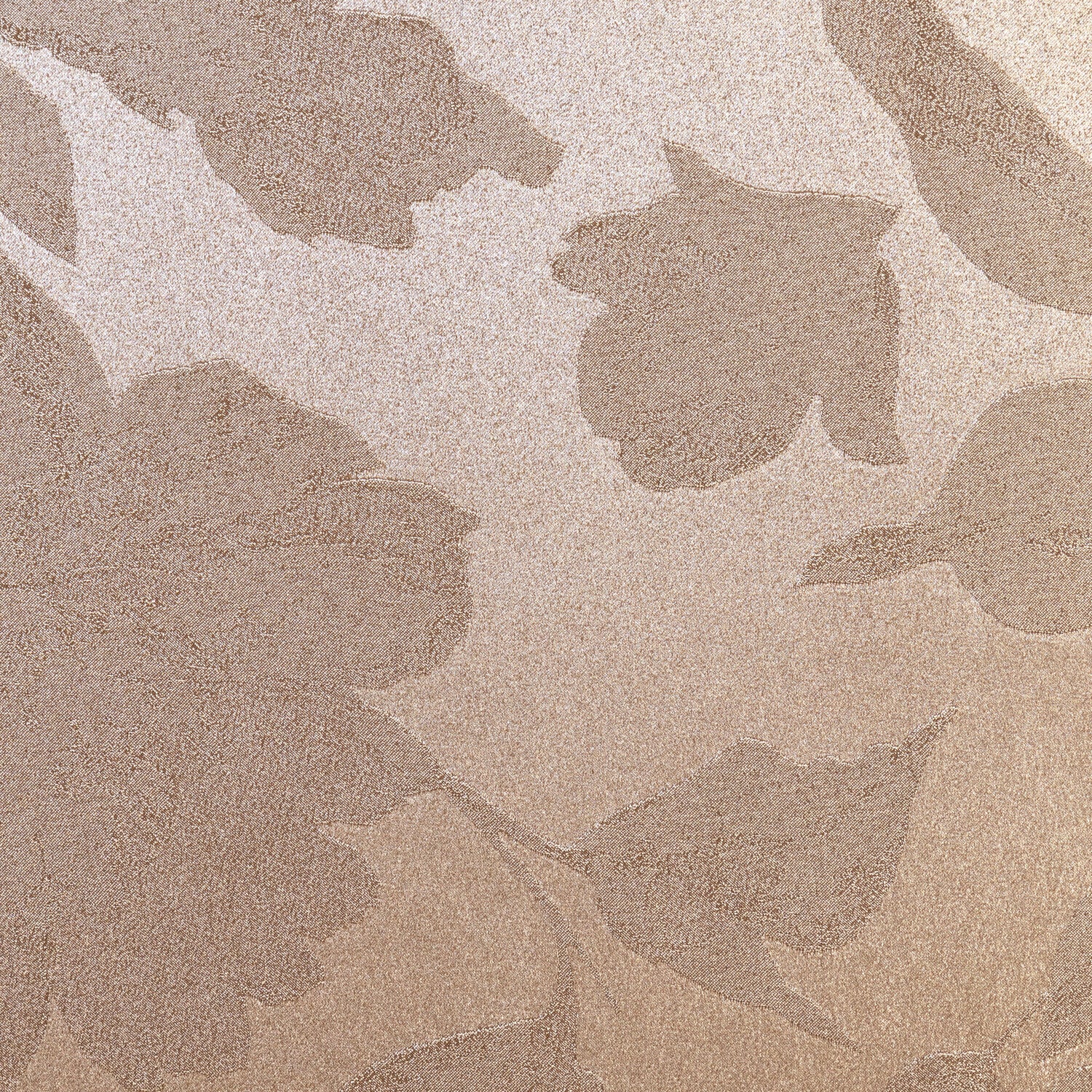 #color_TAUPE/SILVER