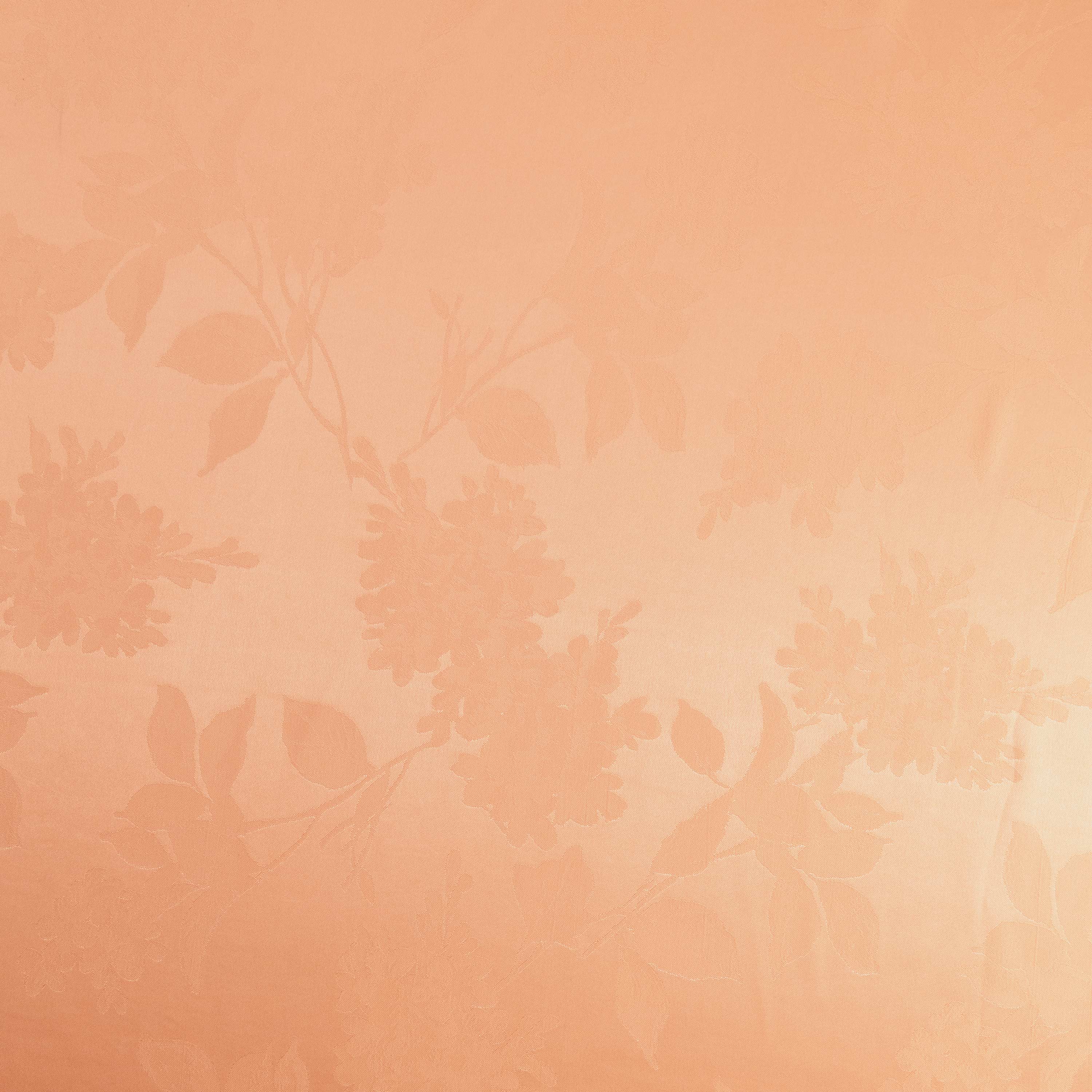 #color_LUSTER APRICOT