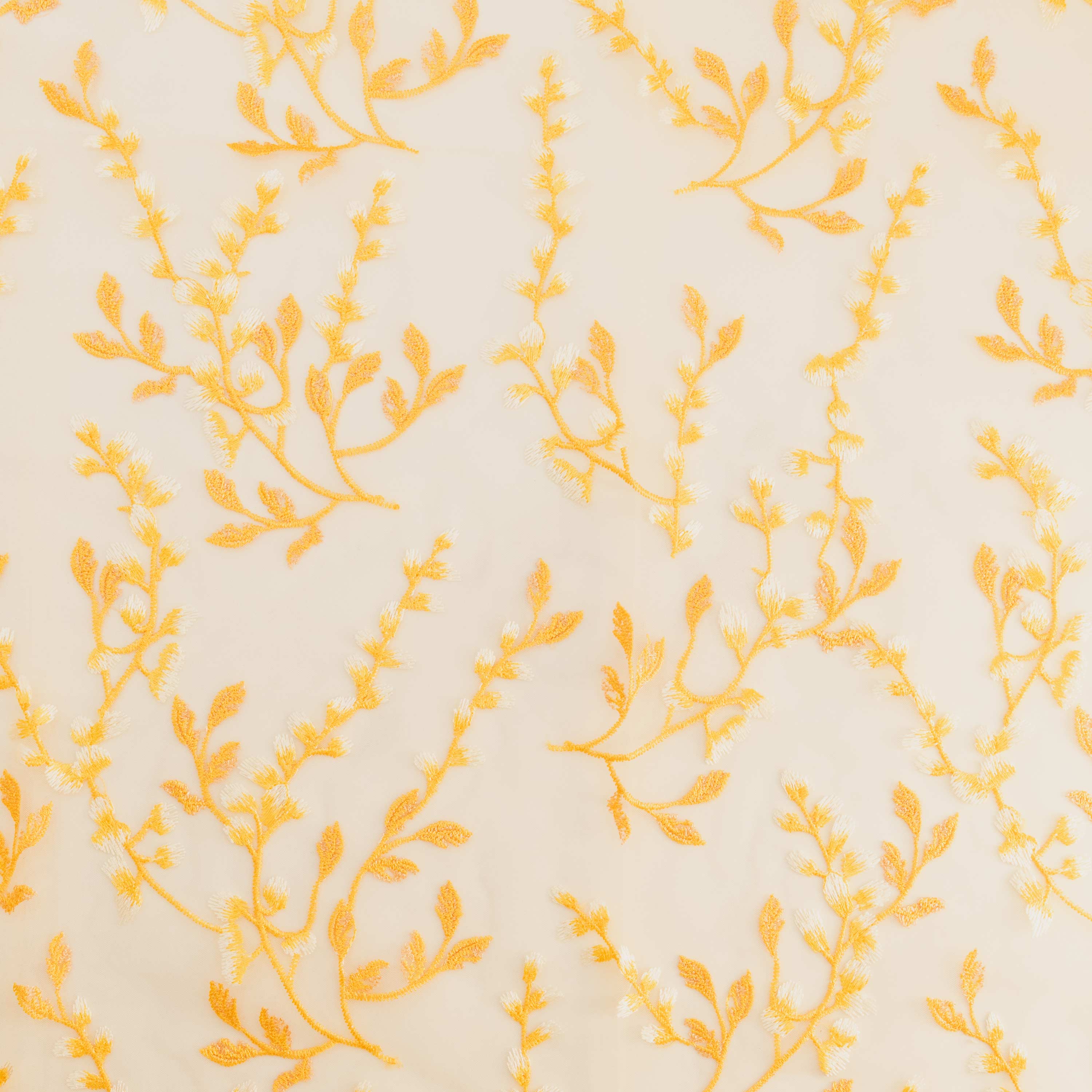 #color_CREAM/MIMOSA