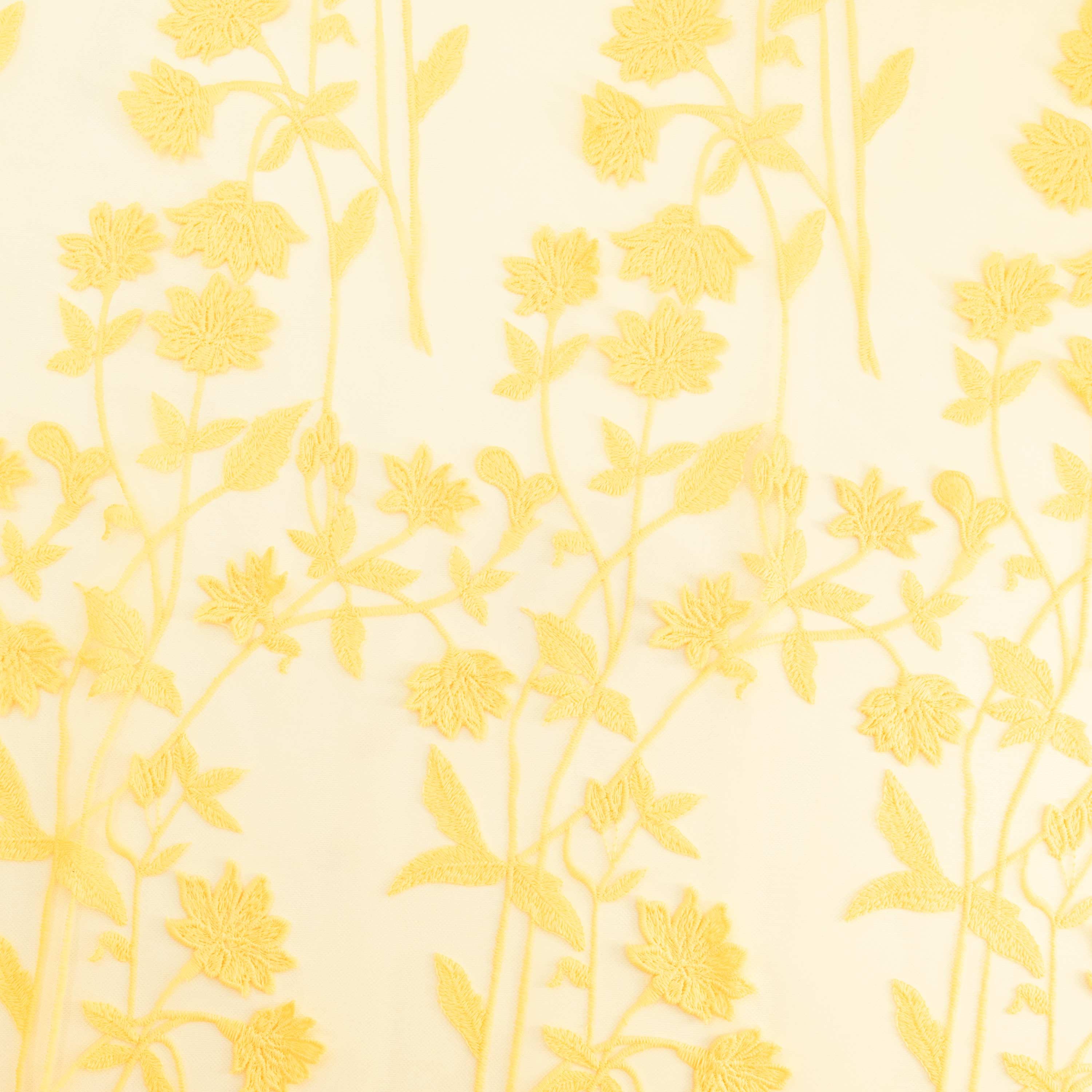 #color_CITRUS