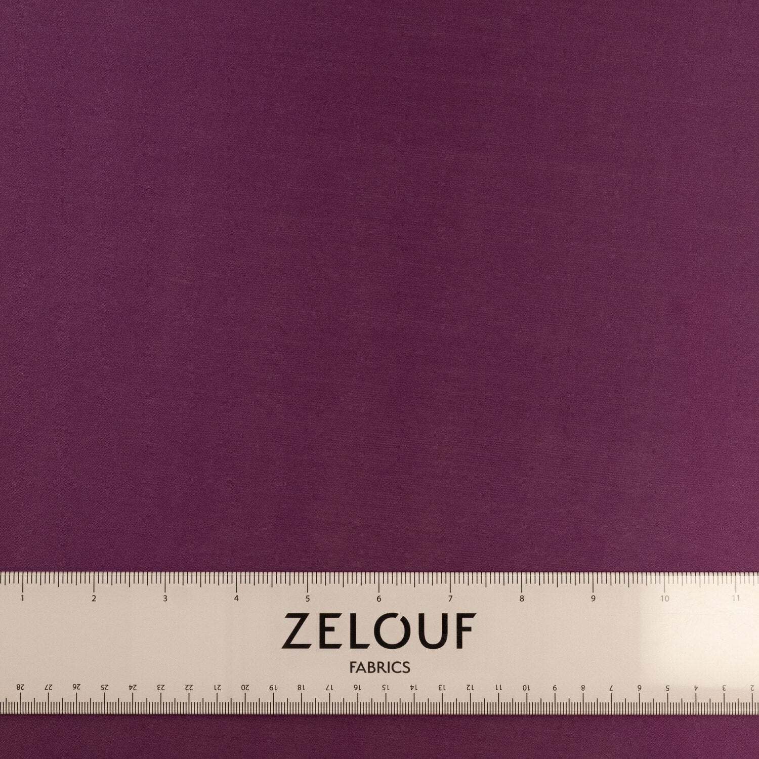 #color_VIENNA GRAPE