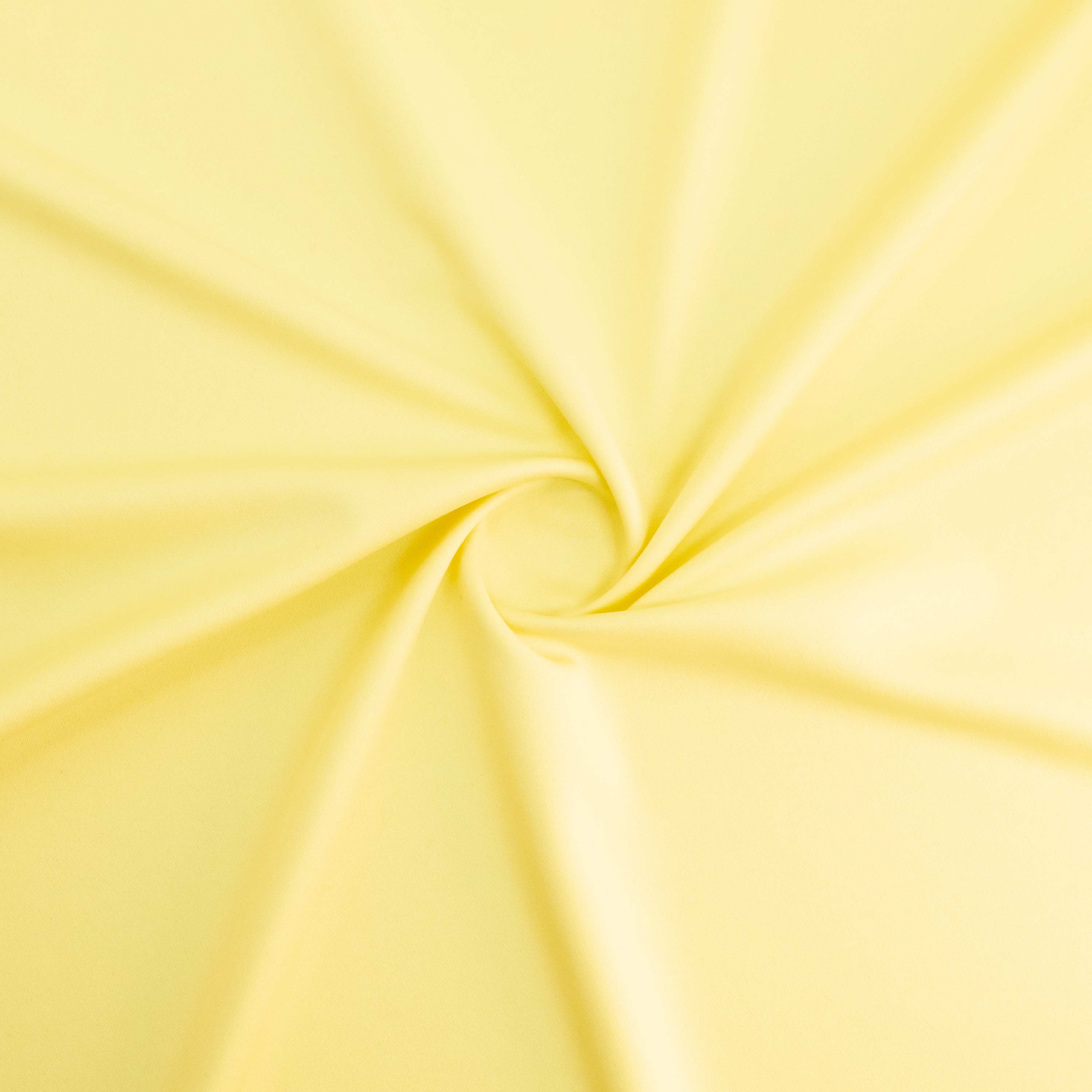 #color_LEMONSLICE