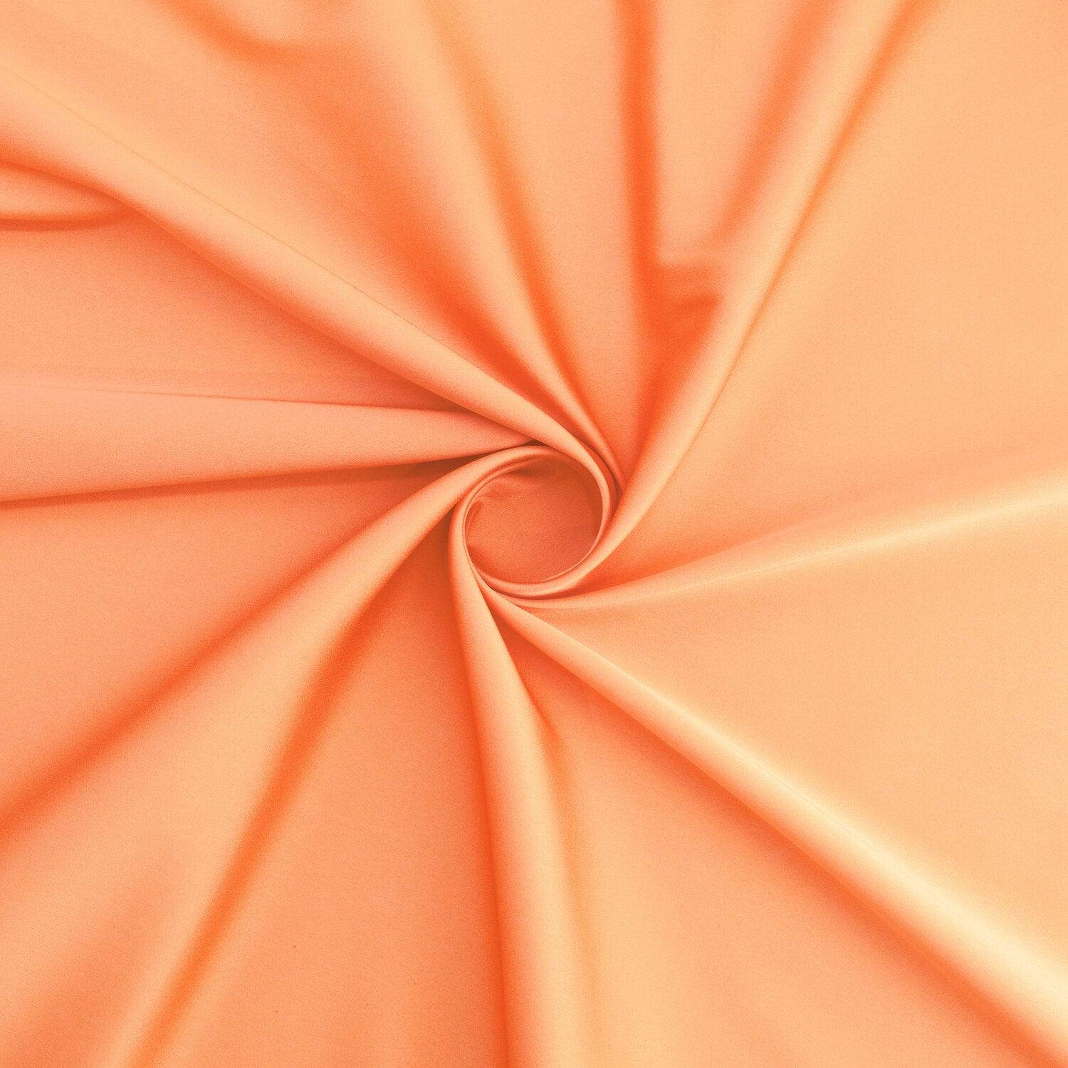 #color_CONCH SHELL