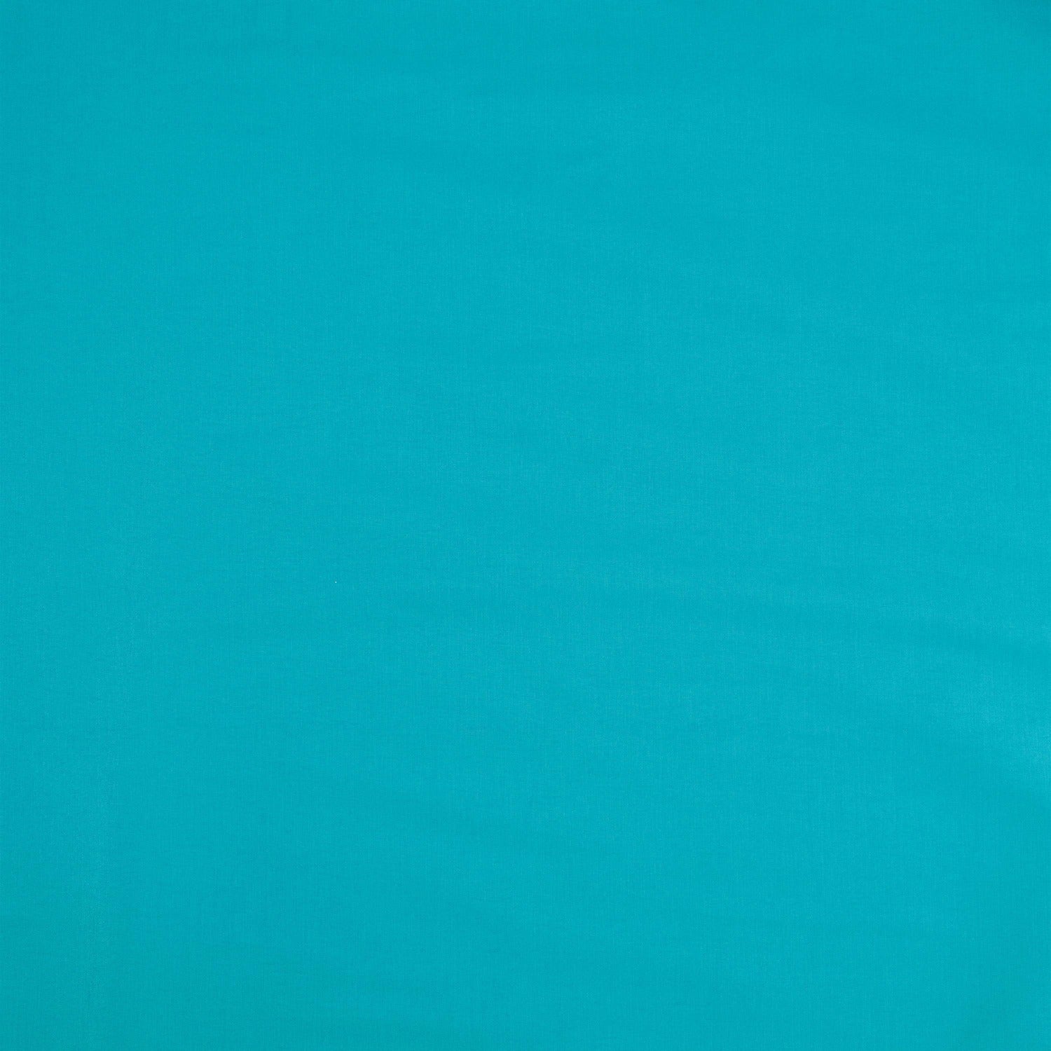 #color_JOYFUL AQUA