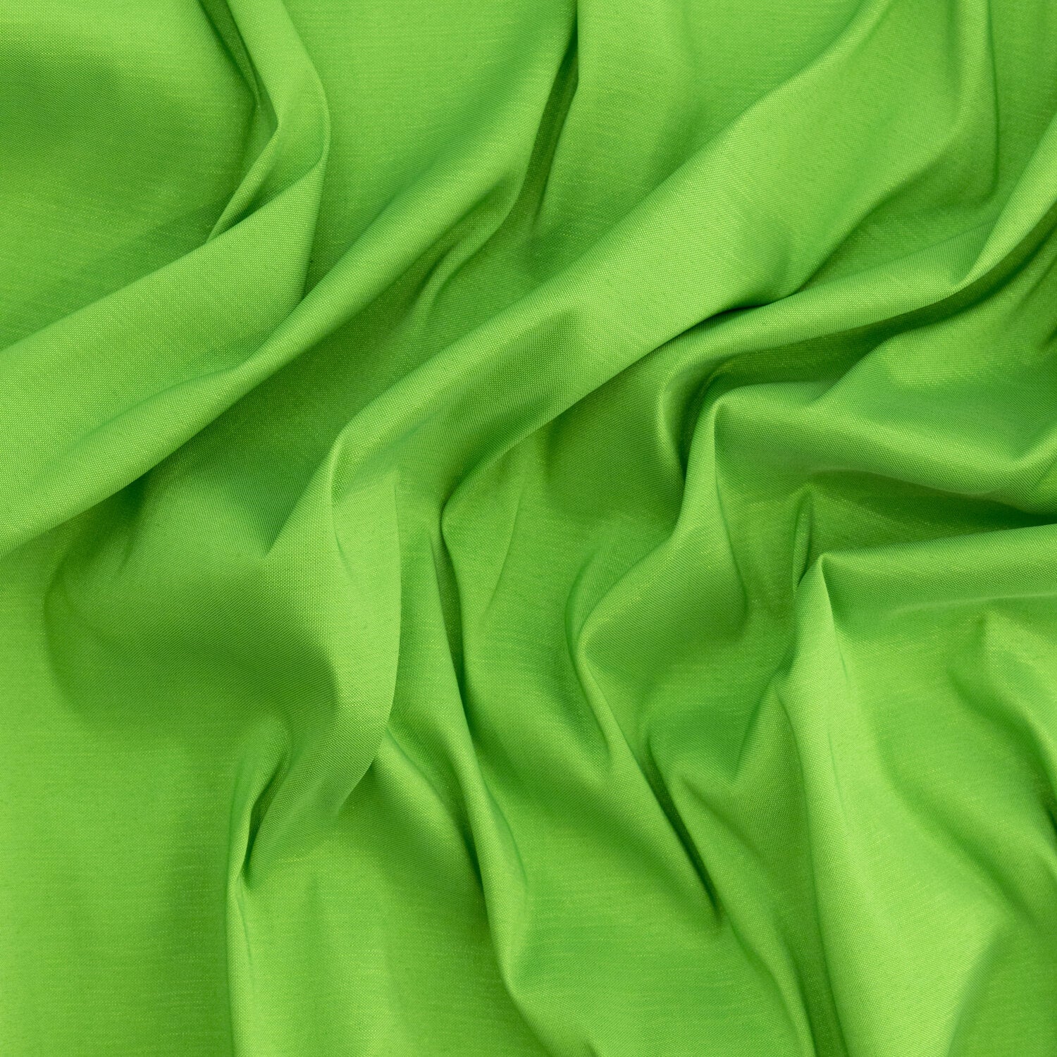 #color_PERIDOT WAVE
