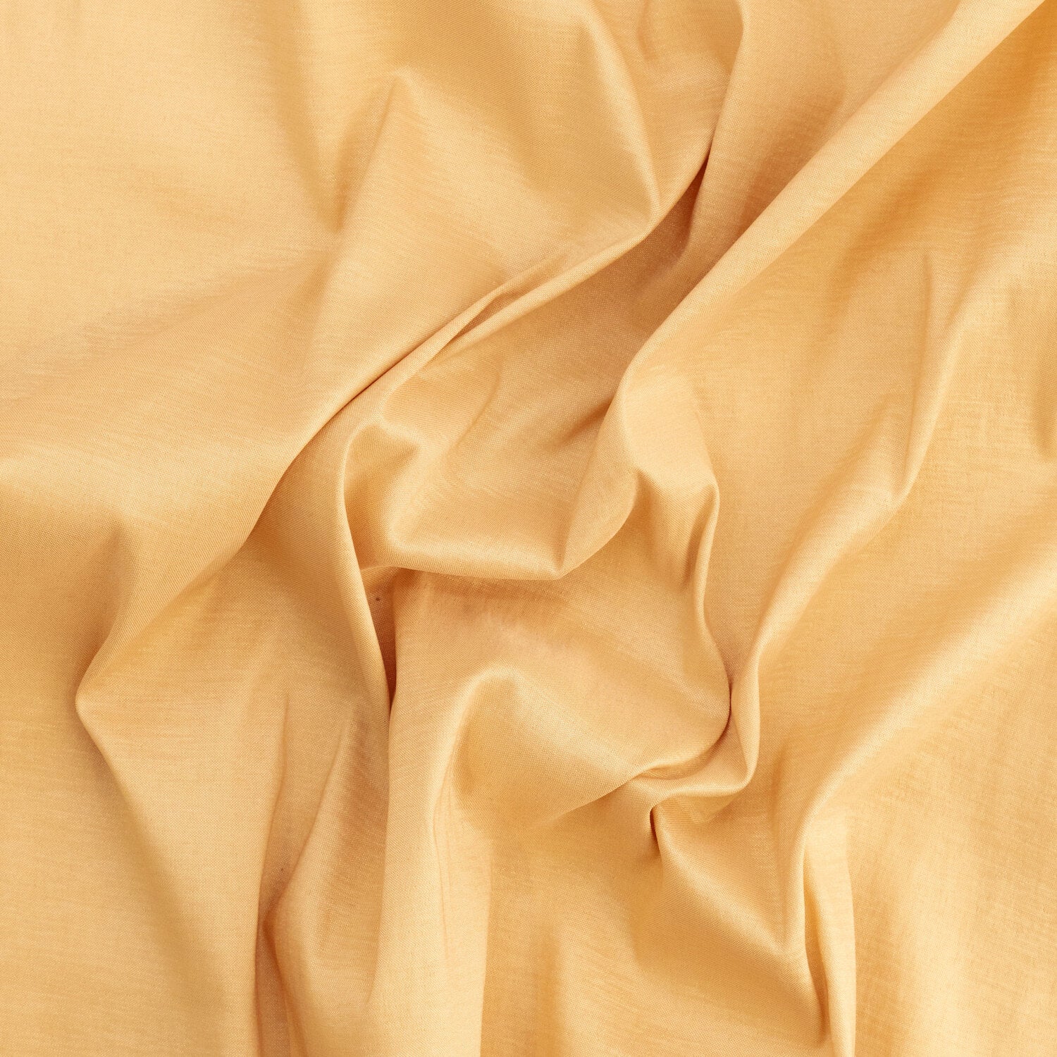 #color_SUMMER GOLD