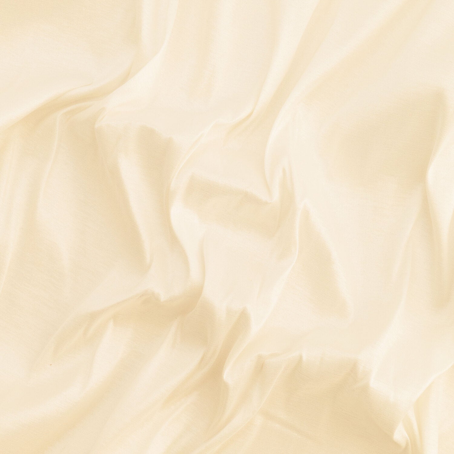 #color_WHITE PFP