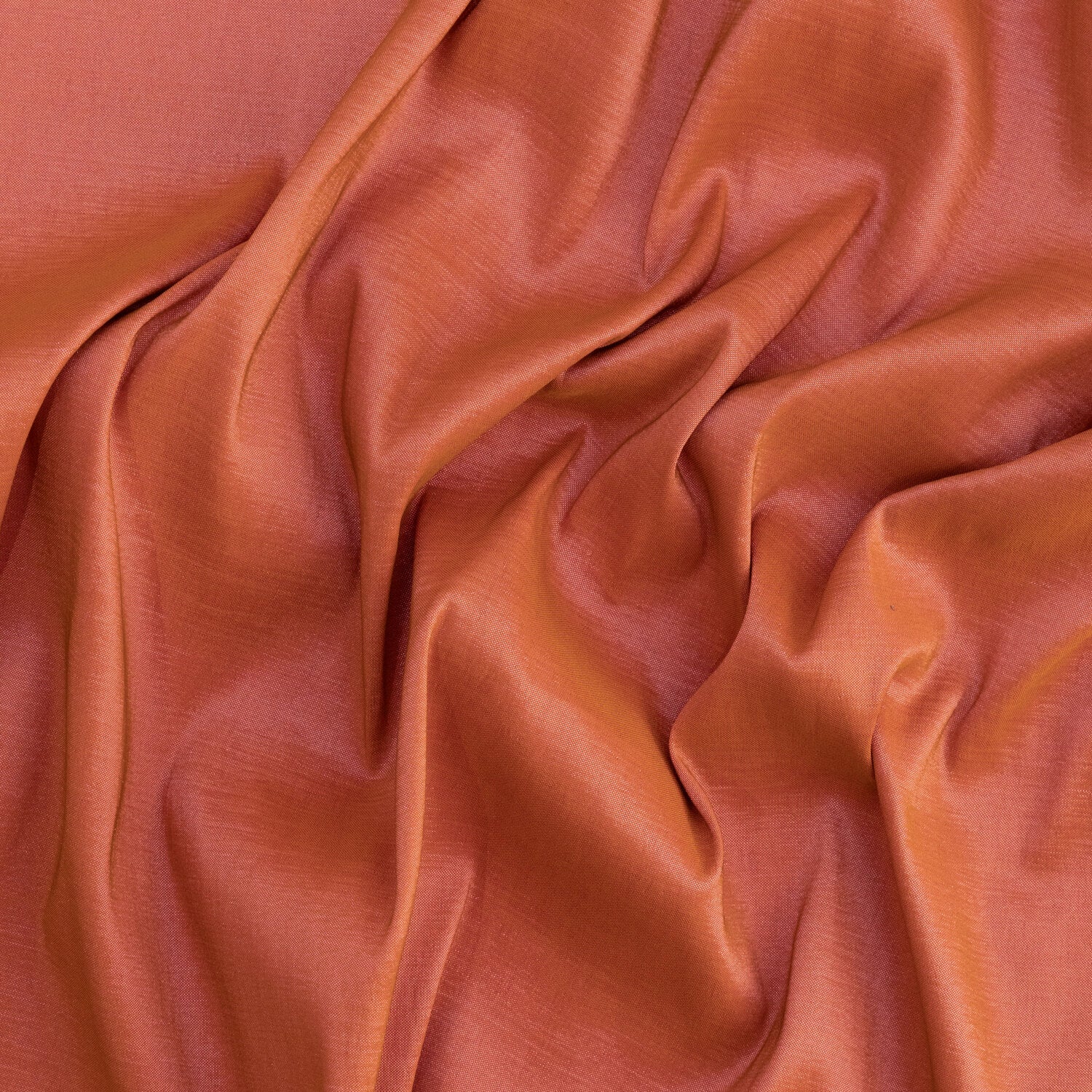 #color_WILD CORAL