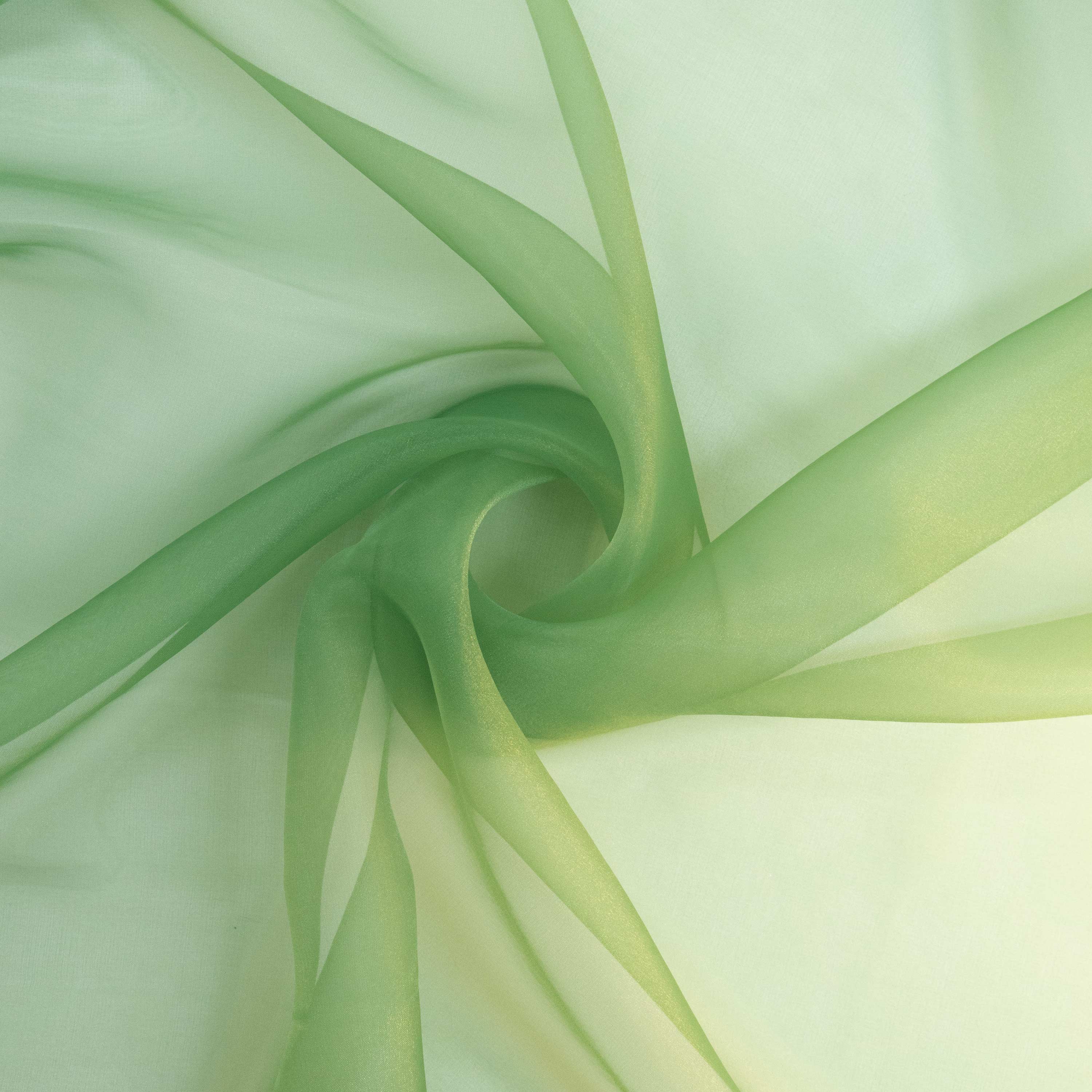 #color_FERN PASSION