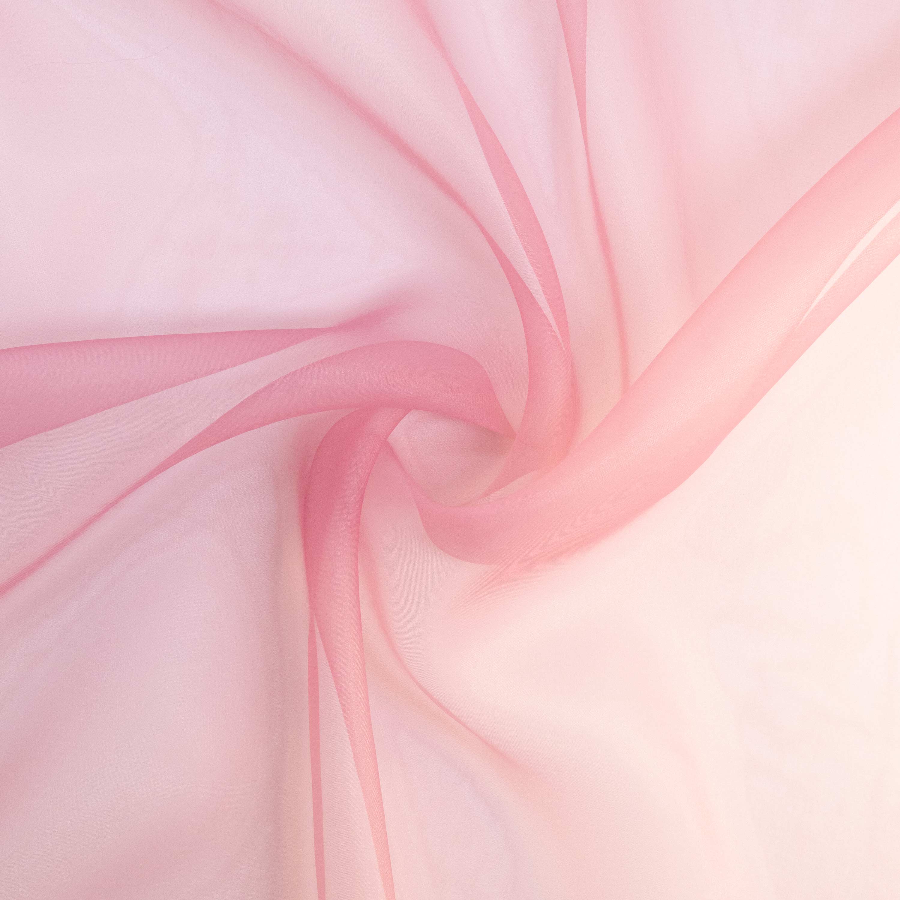 #color_ROSE SHELL