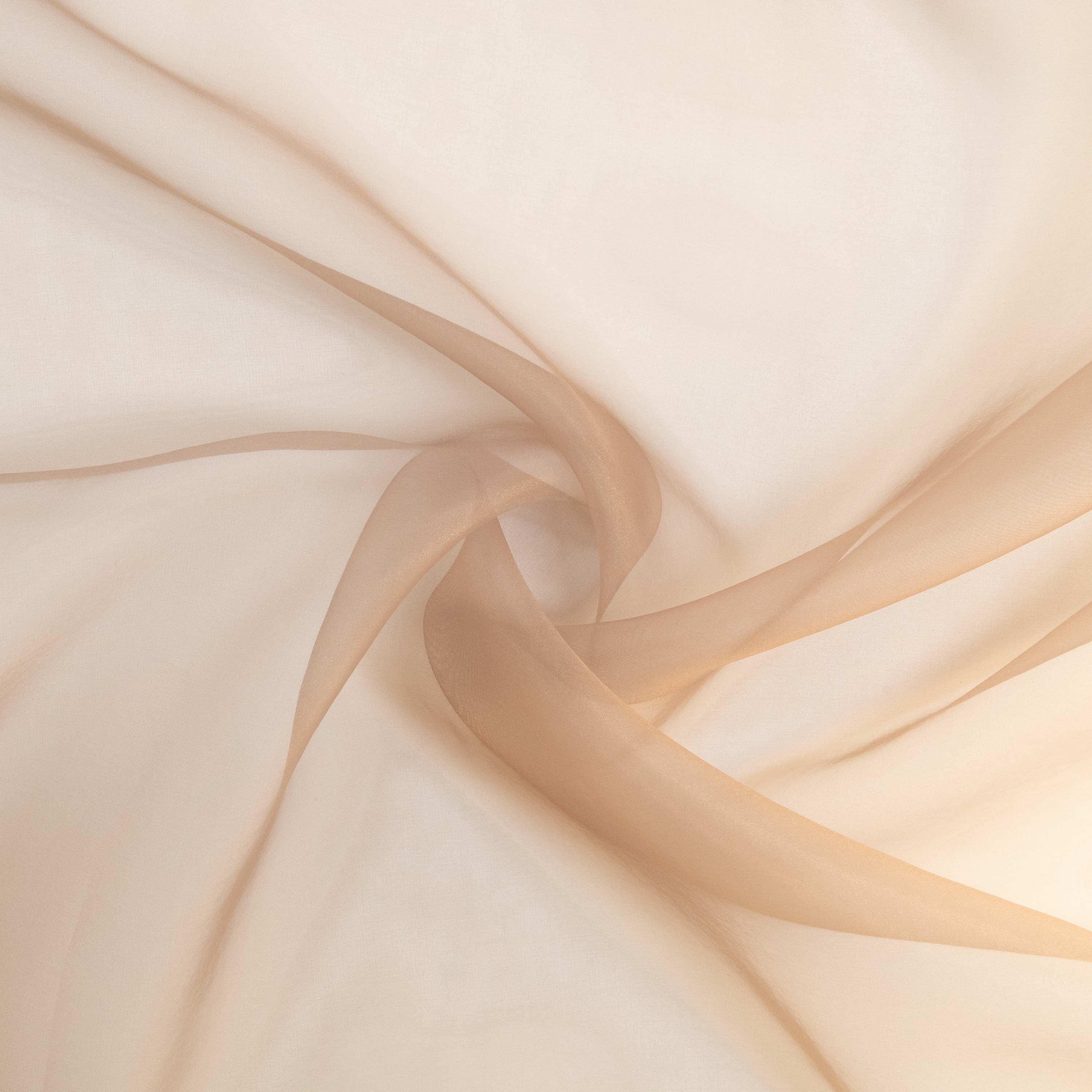 #color_TAUPE SHELL
