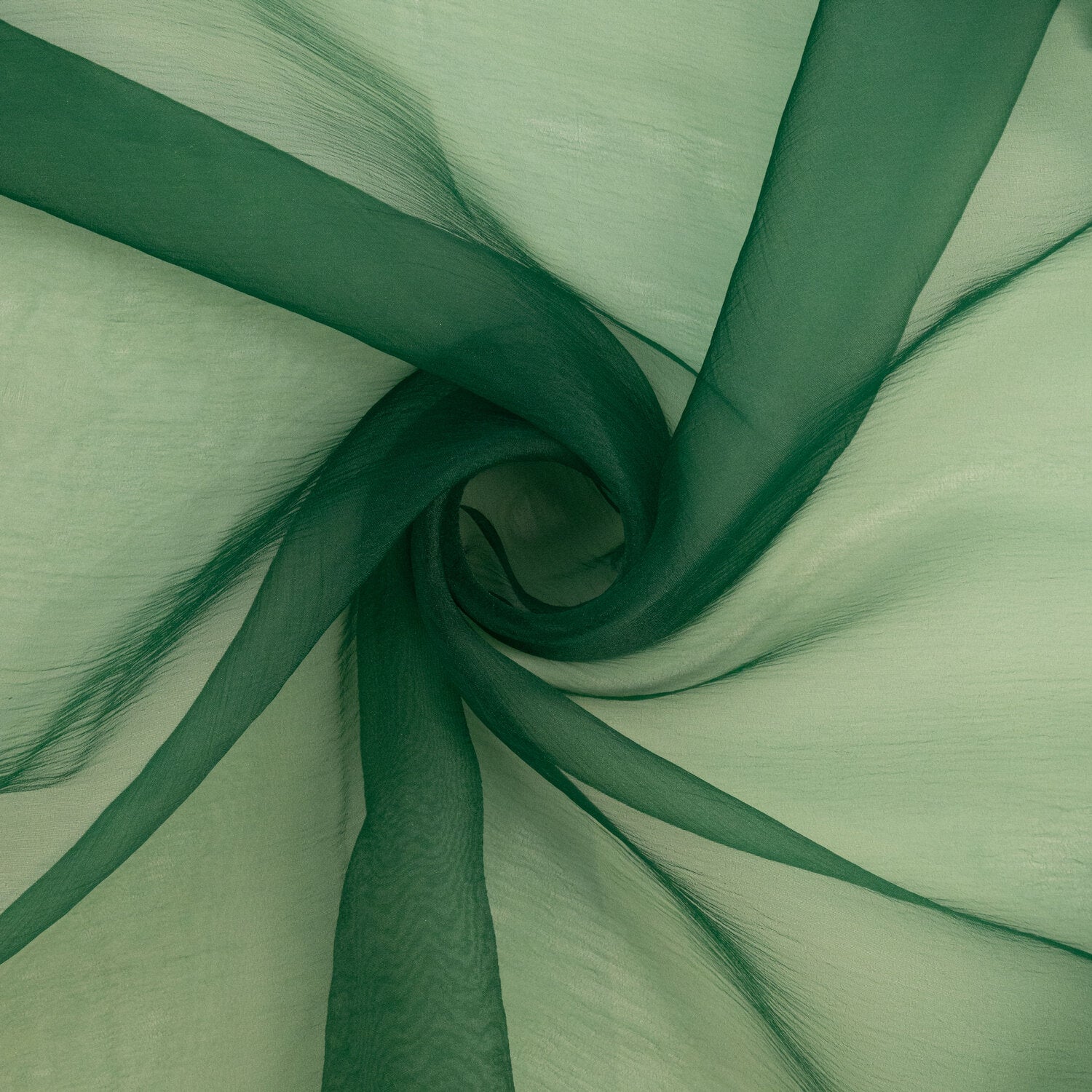 #color_#48 PINE