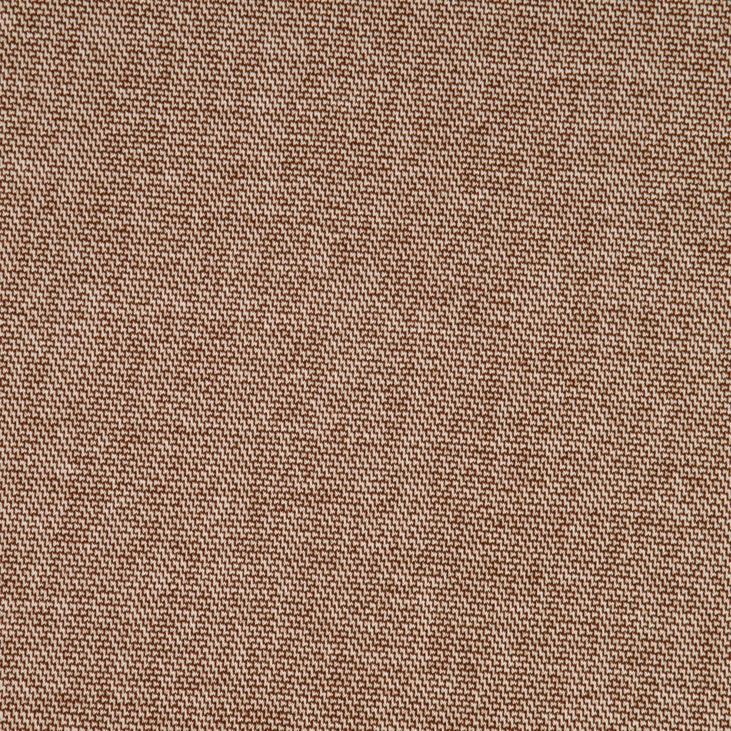 #color_COCOA HEATHER
