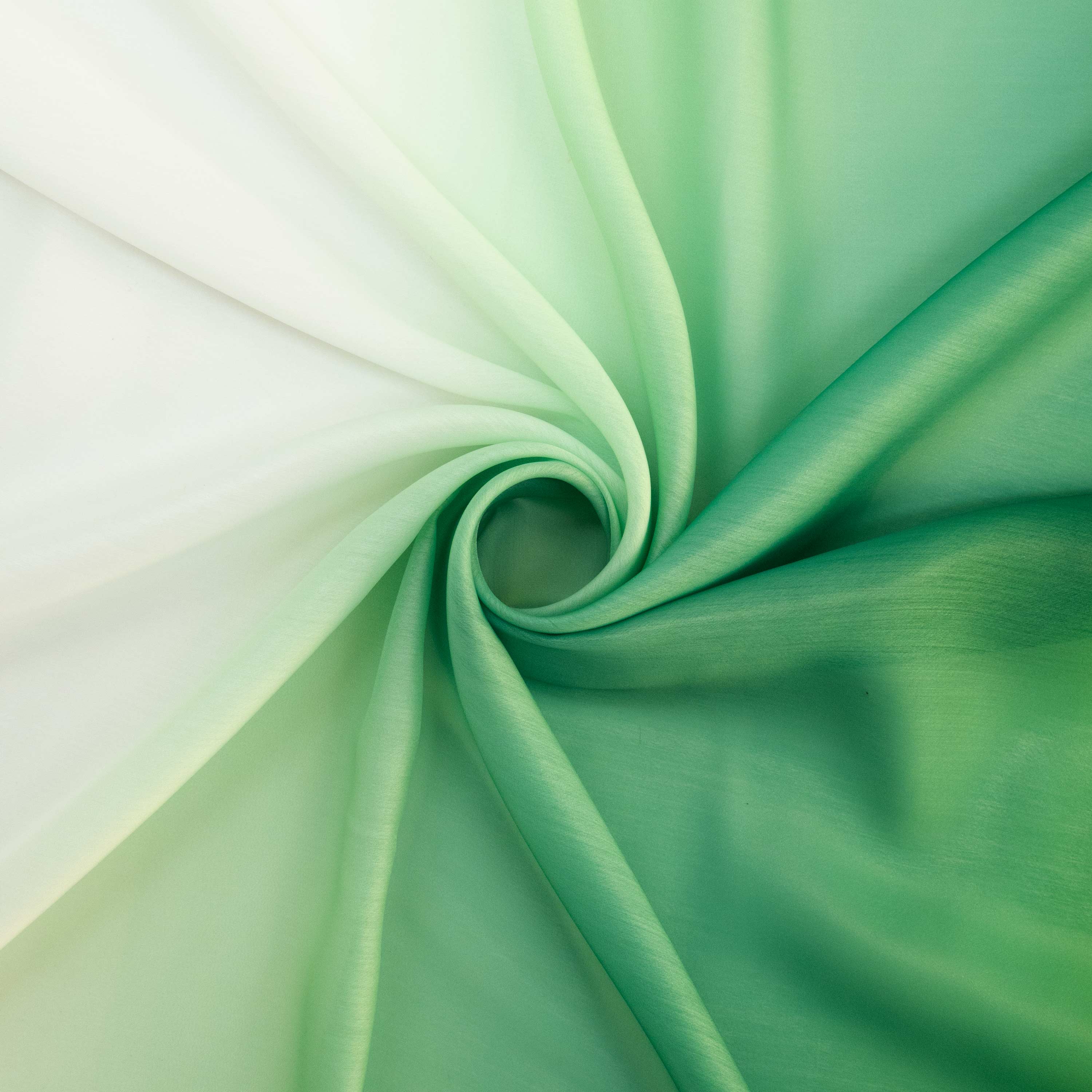 #color_EMERALD/IVORY