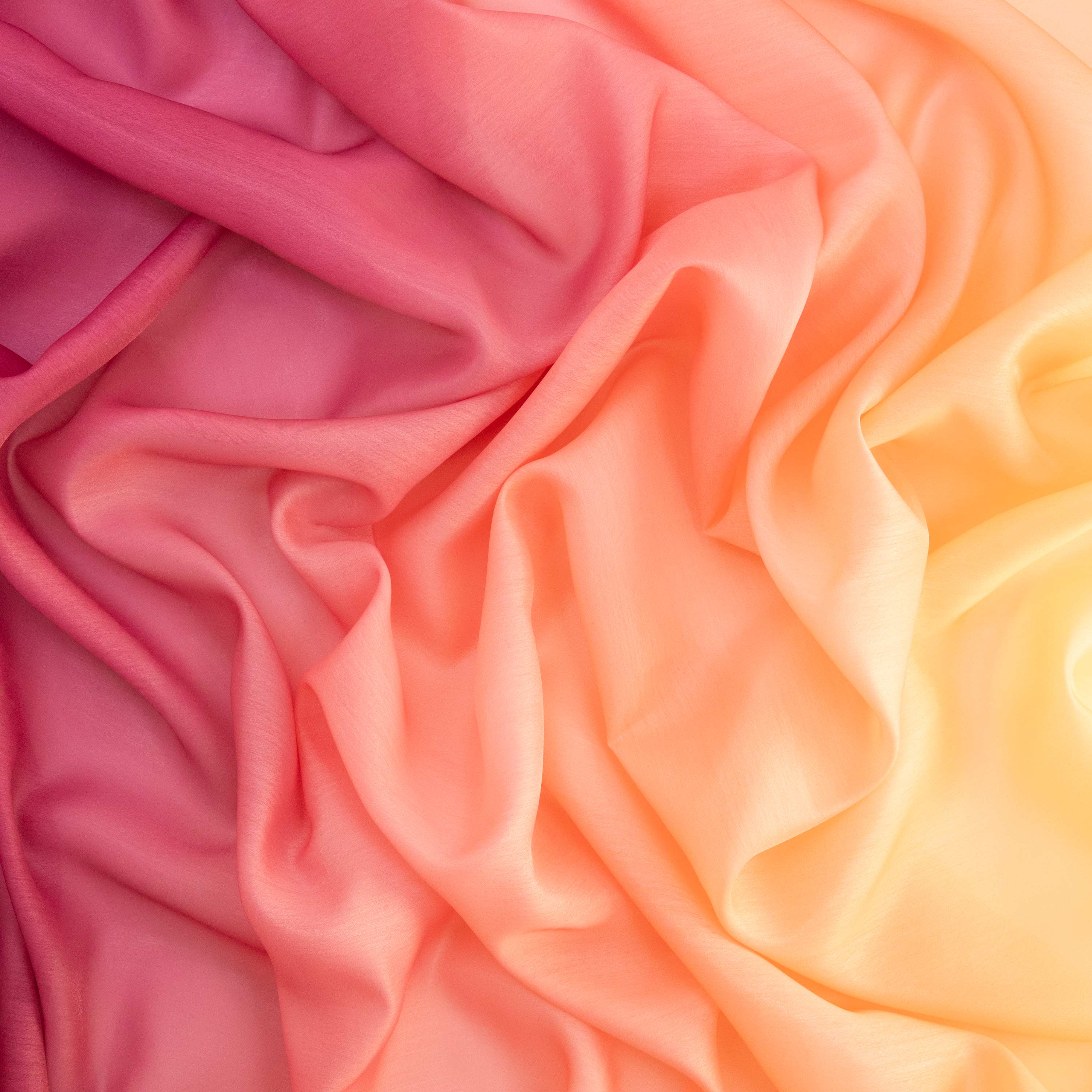 #color_MELON/AZALEA/FUCHSIA