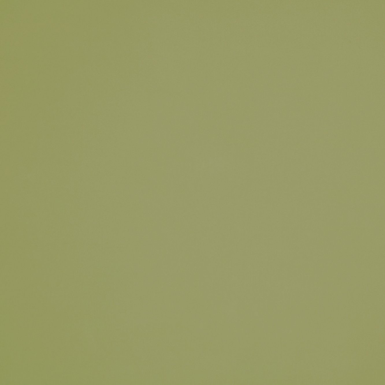 #color_KIWI FRUIT