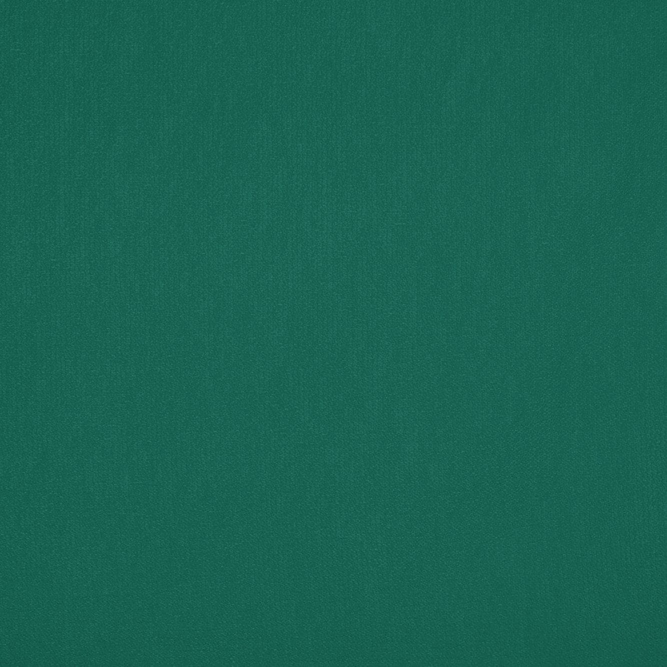 #color_MINT SUGAR 19