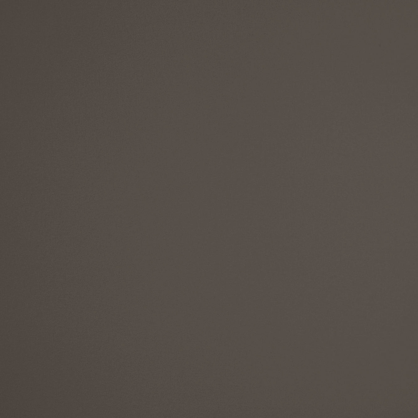 #color_AUDACIOUS SILVER
