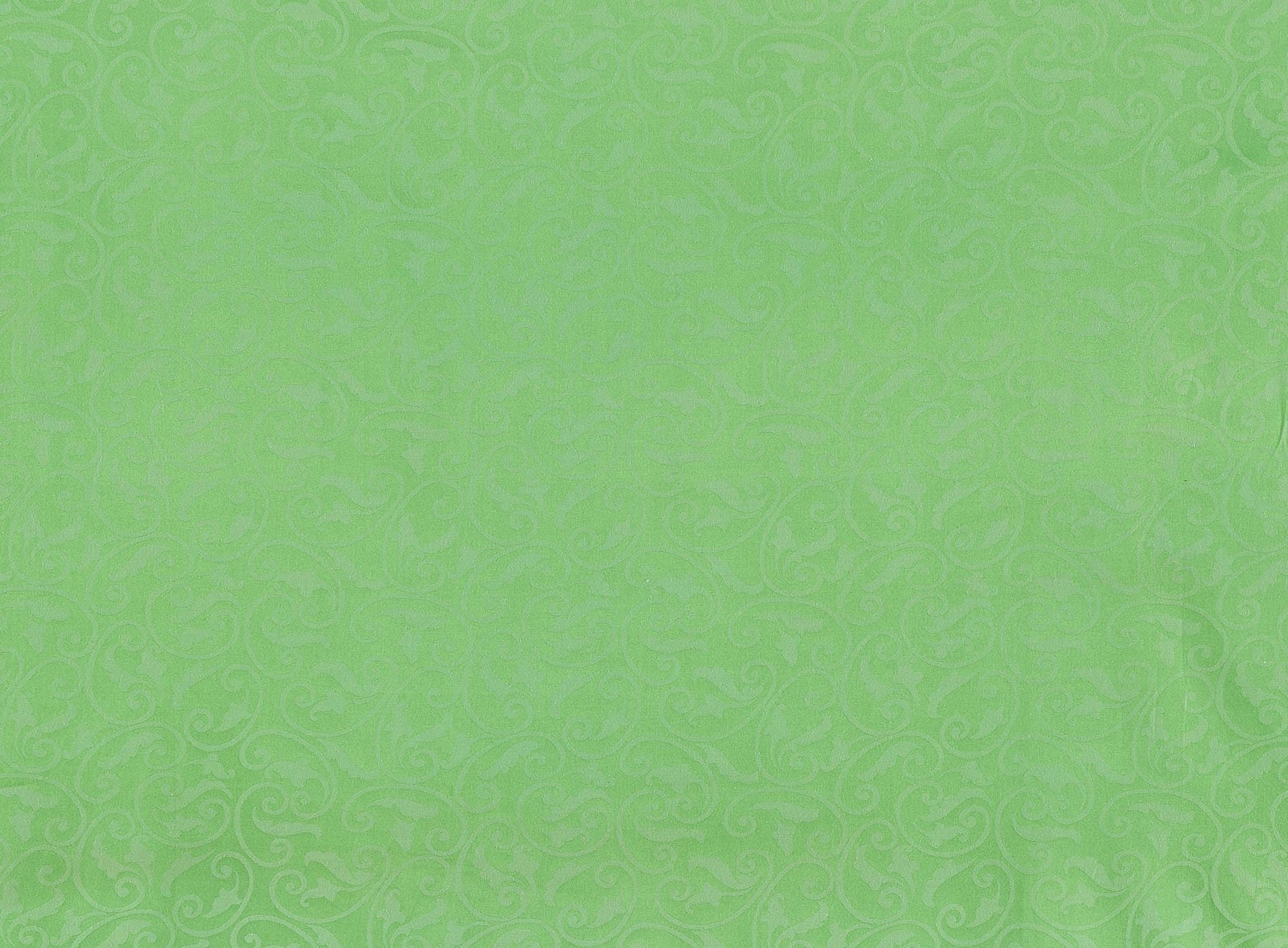 #color_777 LOLLI GREEN