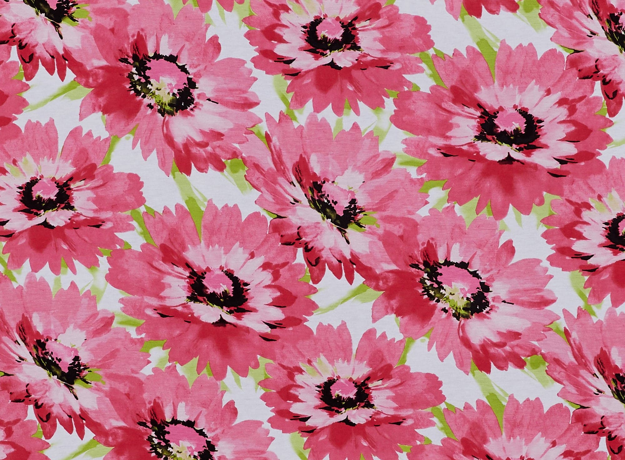 #color_187 WHT/CORAL