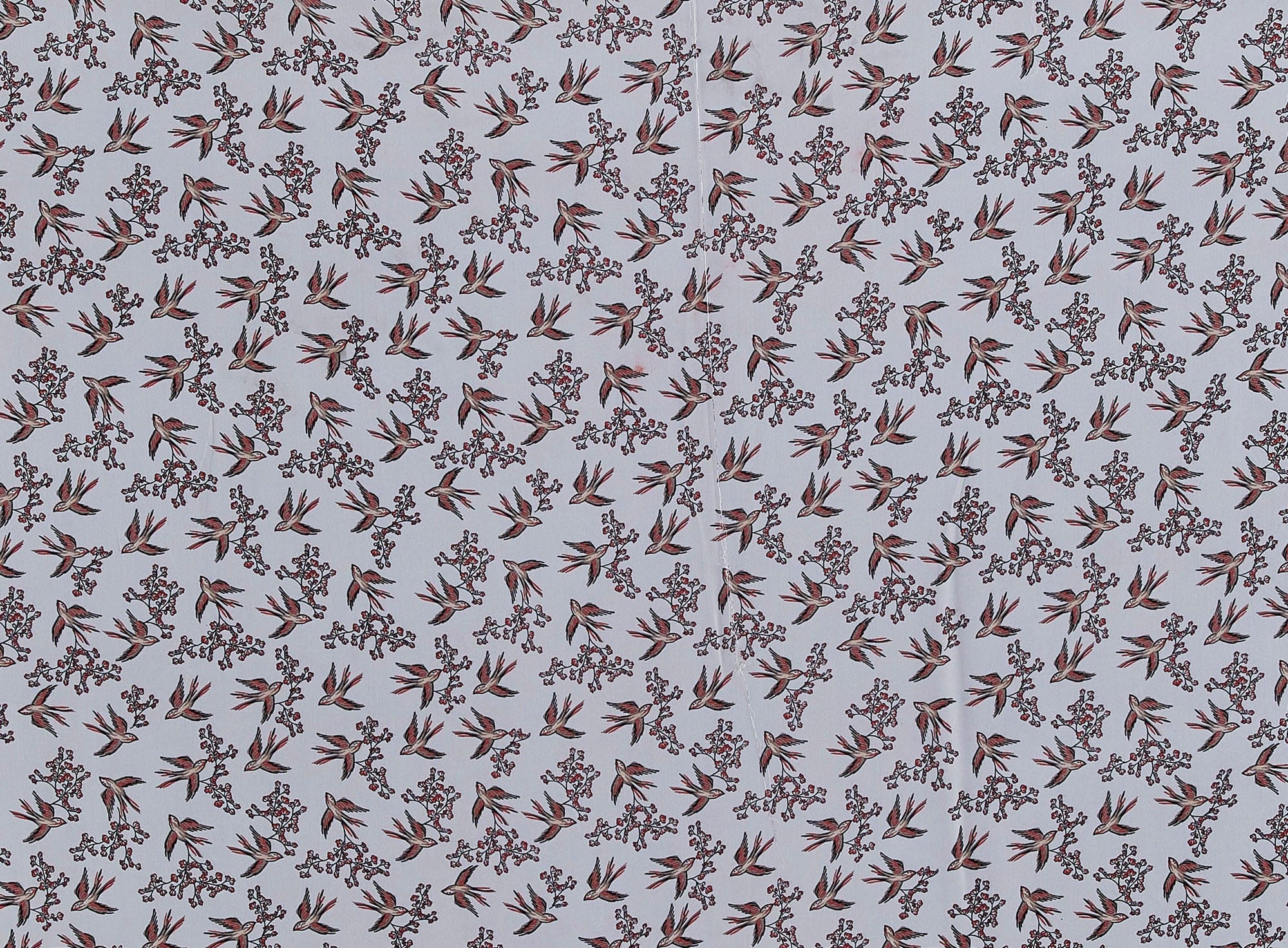 #color_182 WHT/CORAL