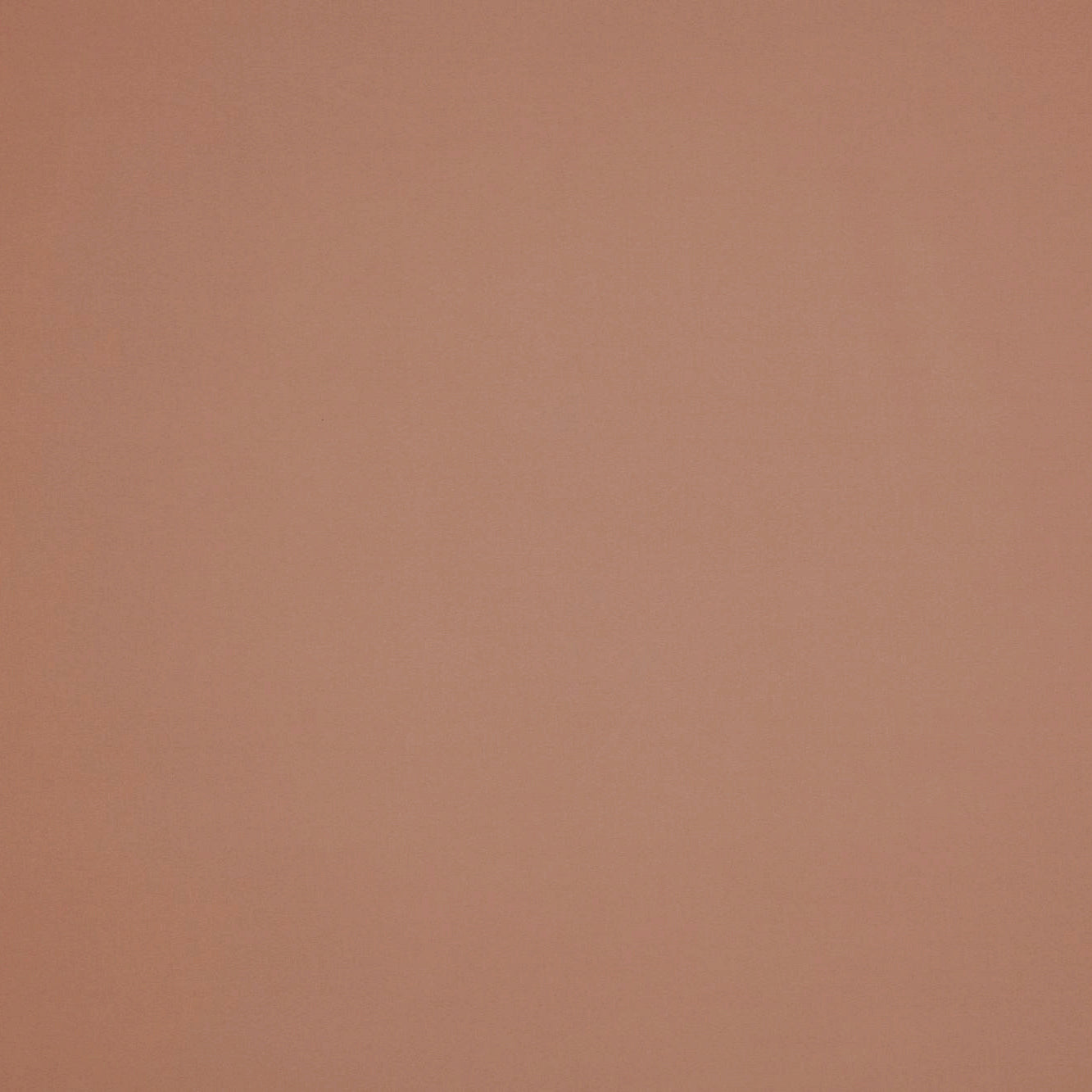 #color_LUSCIOUS APRICOT