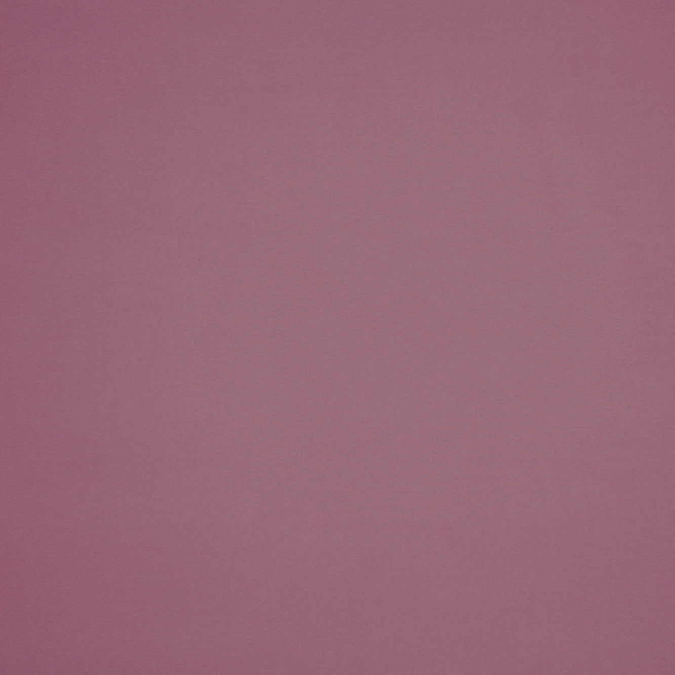 #color_ROSE SUNRISE