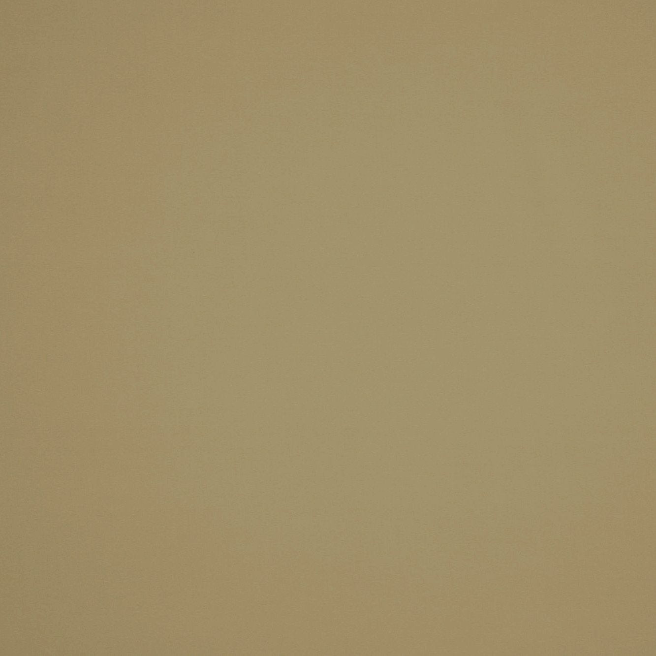 #color_TOASTED VANILLA