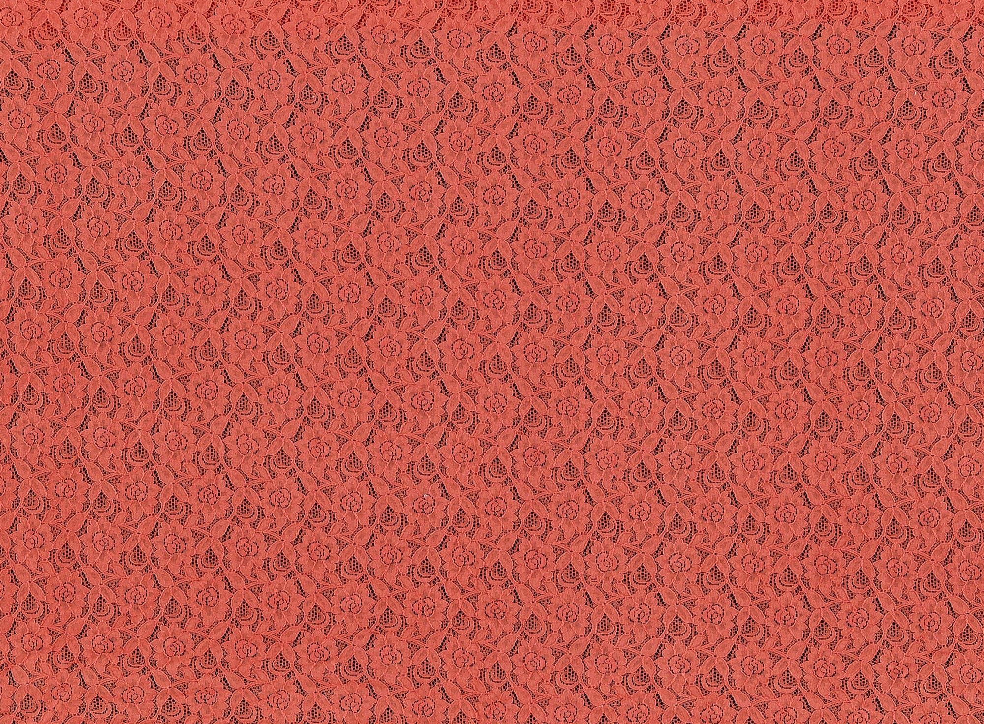 #color_883 CORAL