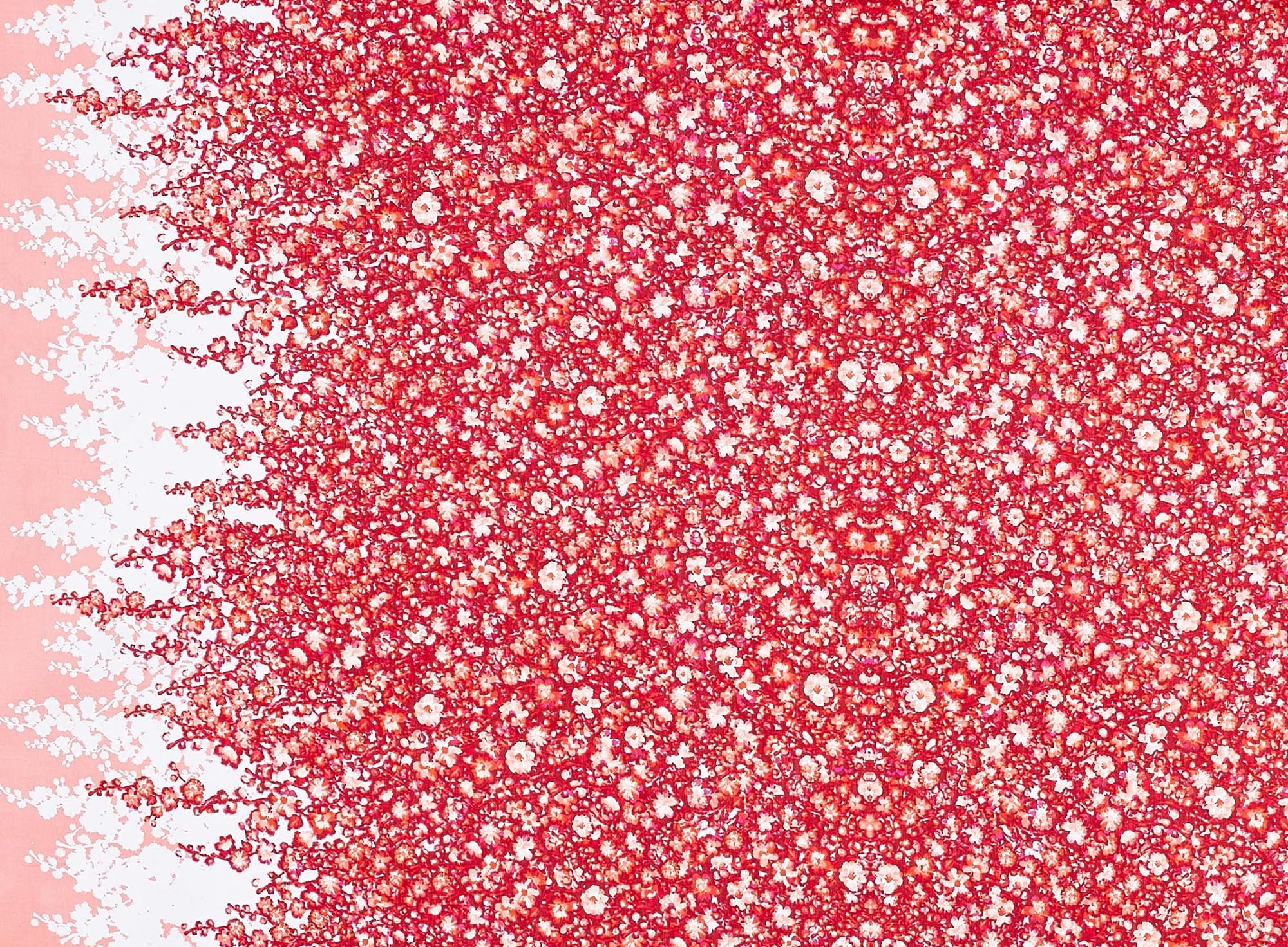#color_813 WHT/CORAL