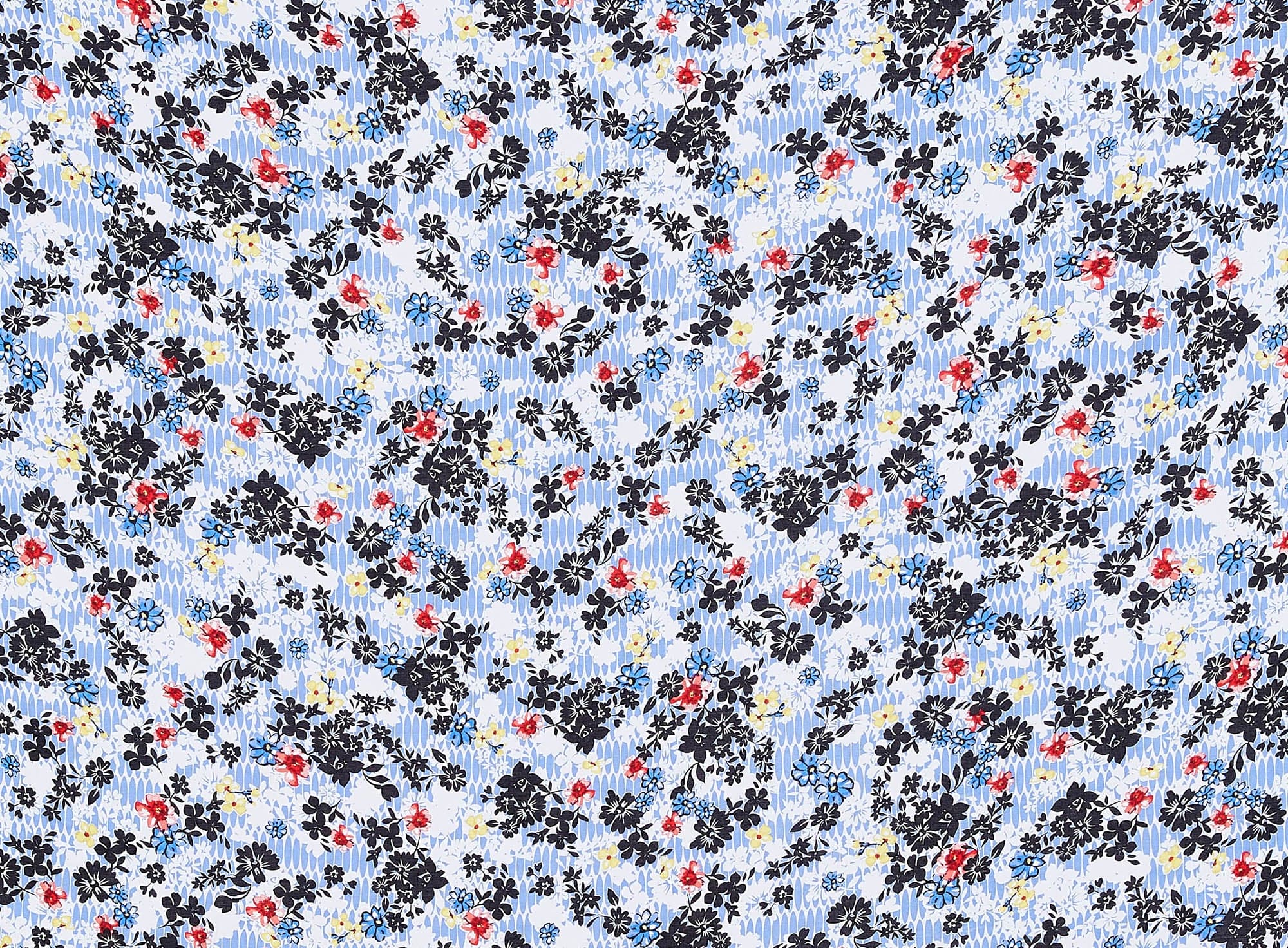 #color_481 BLUE/CORAL