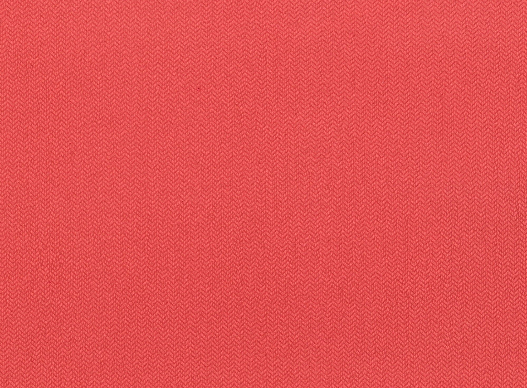 #color_883 VIVID CORAL