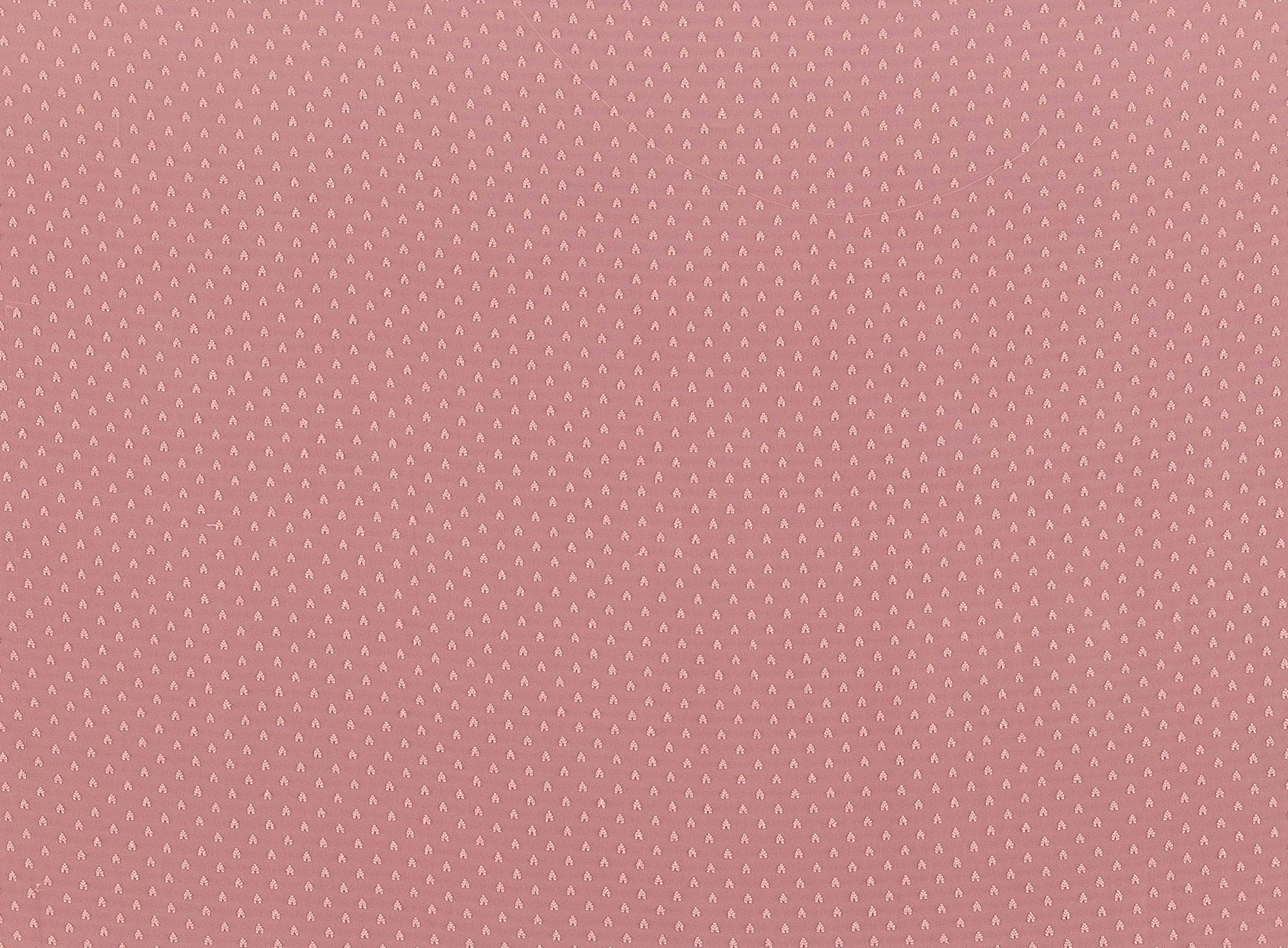 #color_818 CORAL