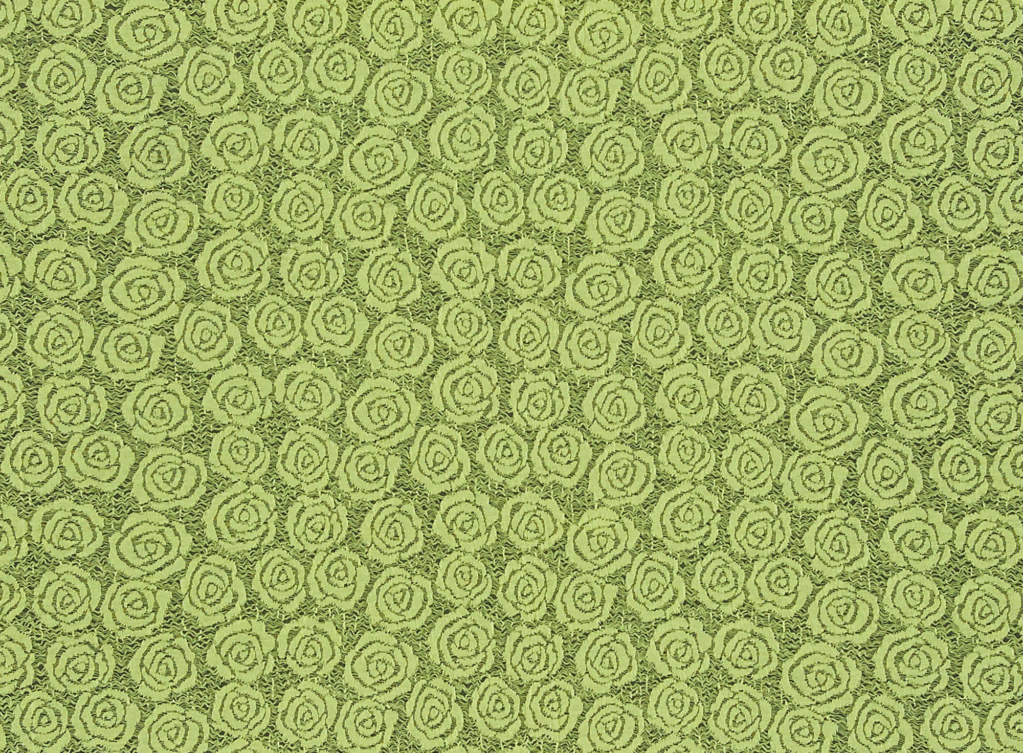 #color_771 ELEC LIME