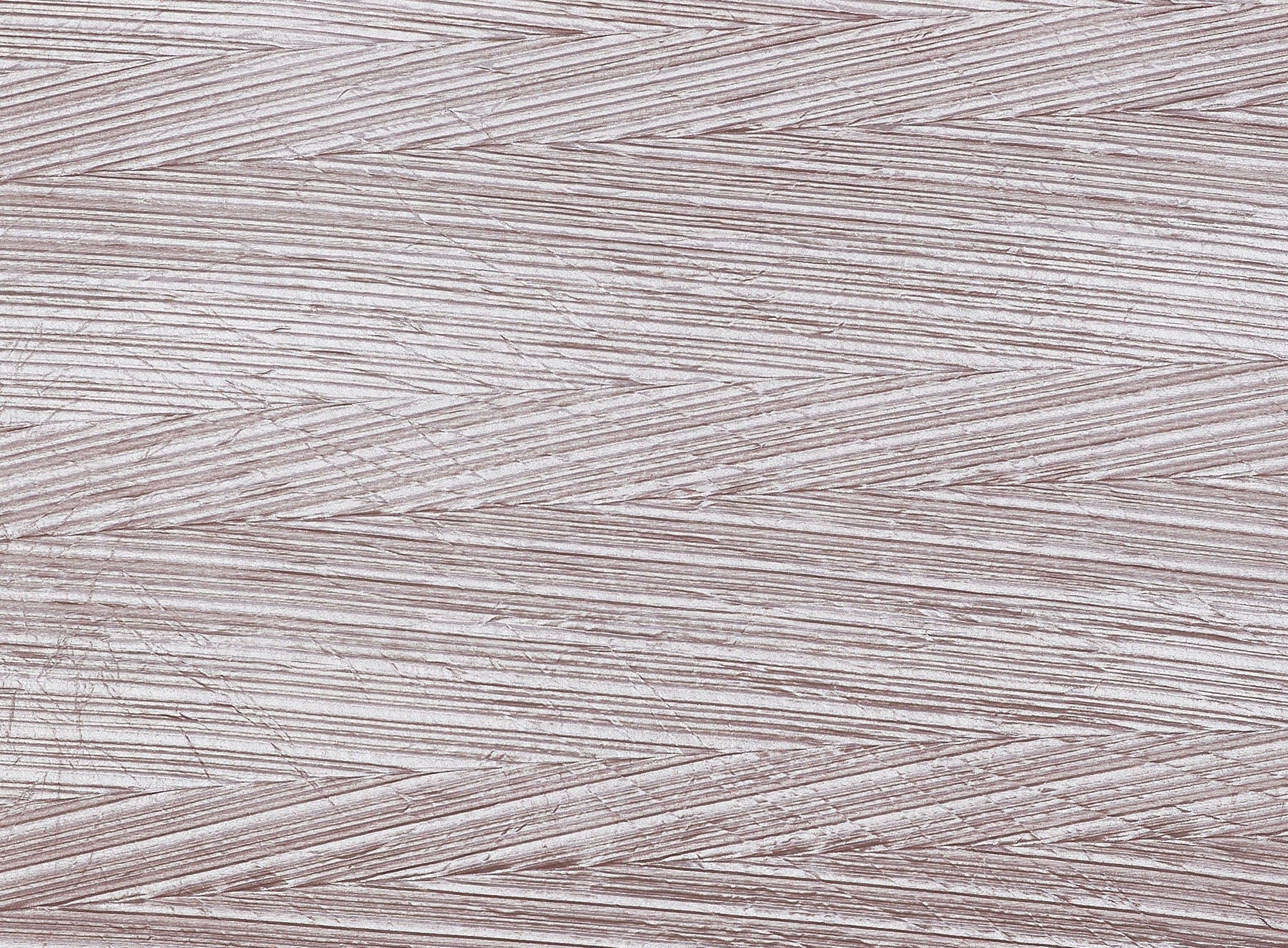 #color_LE'CORAL/SILVER