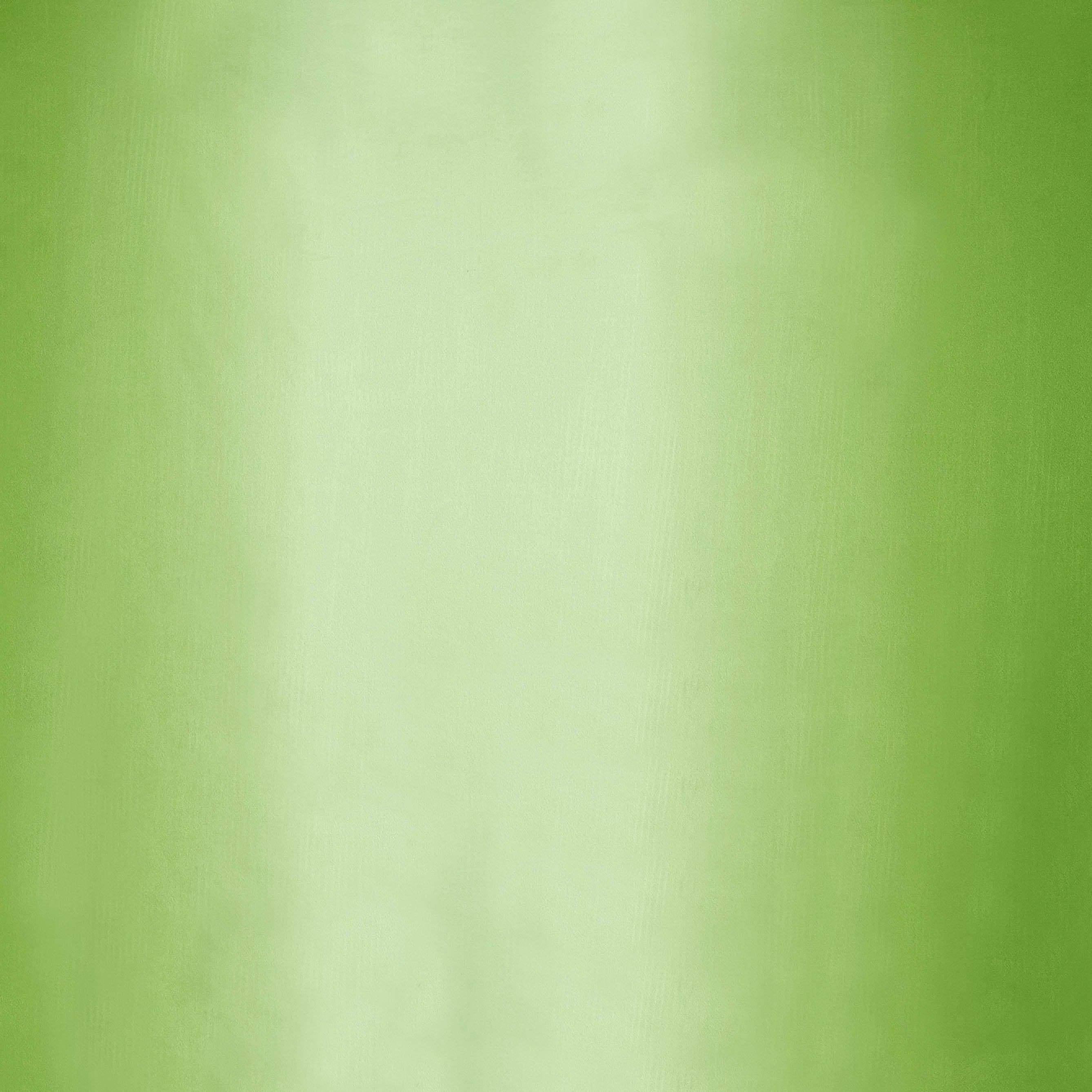 #color_COOL LIME