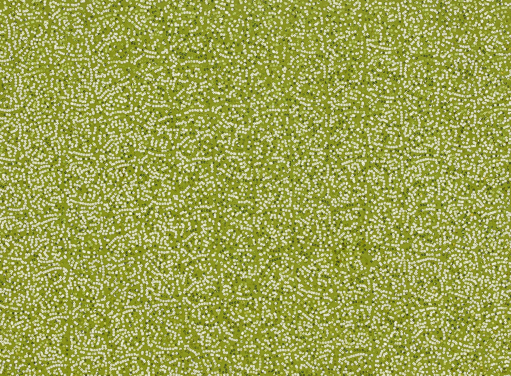 ALL OVER SQUARE SEQS ON SINGLE SPAN  | 20742-7272 LIME SPRITZ - Zelouf Fabrics