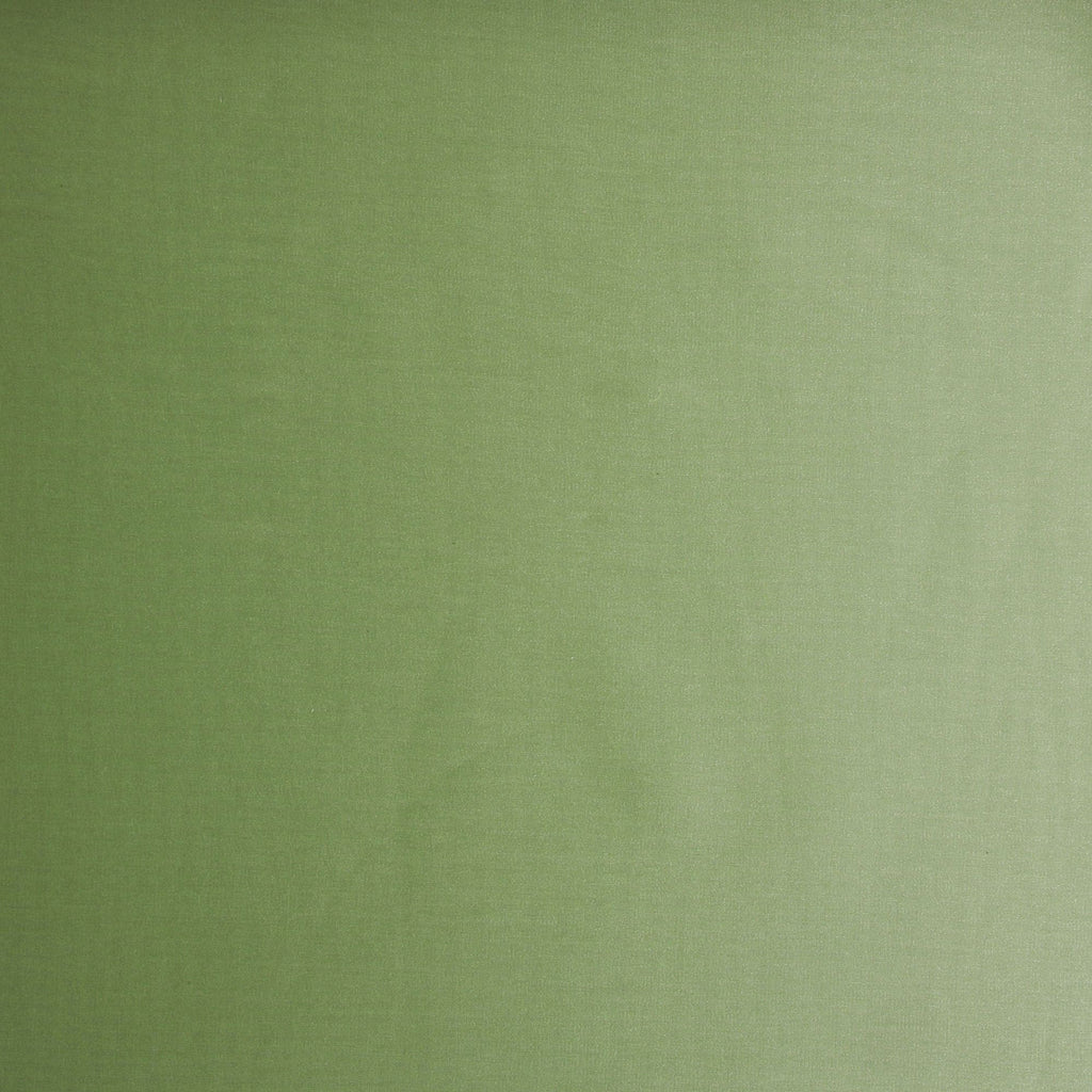 SHIMMER SAGE | 2098 - SPANDEX SHIMMER - Zelouf Fabrics