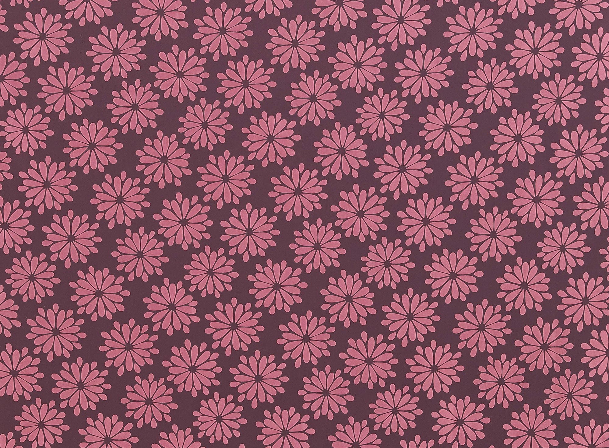 #color_CORAL BLUSH