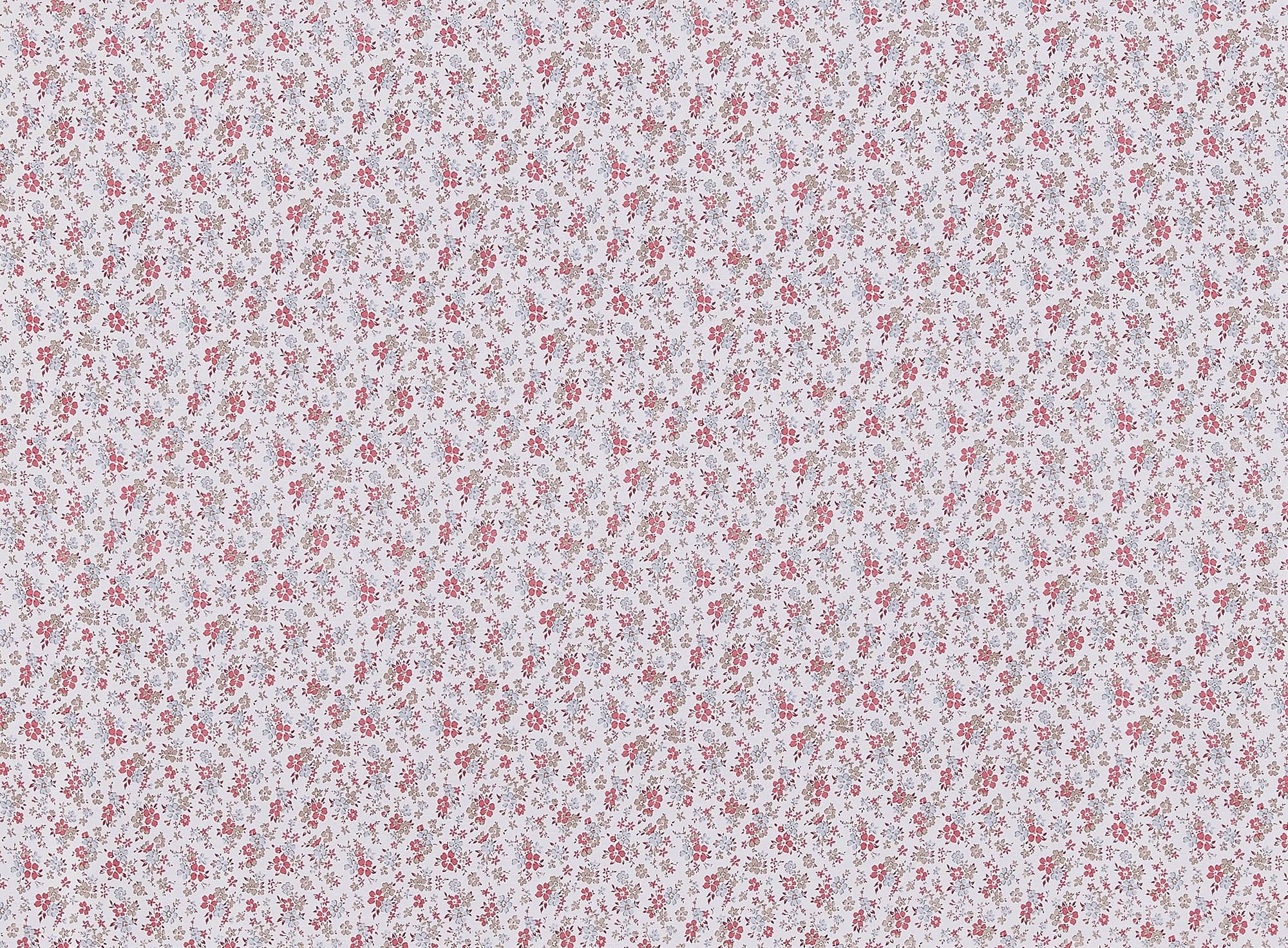 #color_CORAL