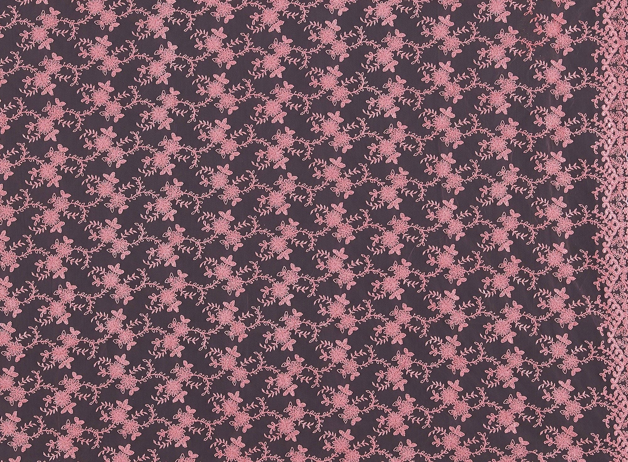 #color_CORAL